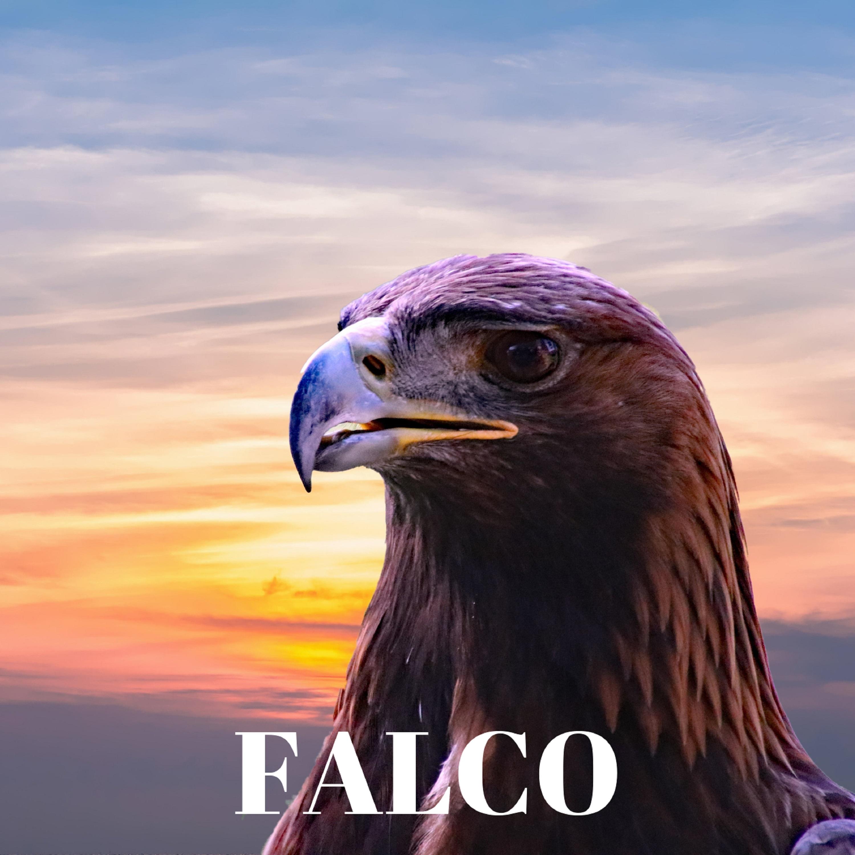 Falco