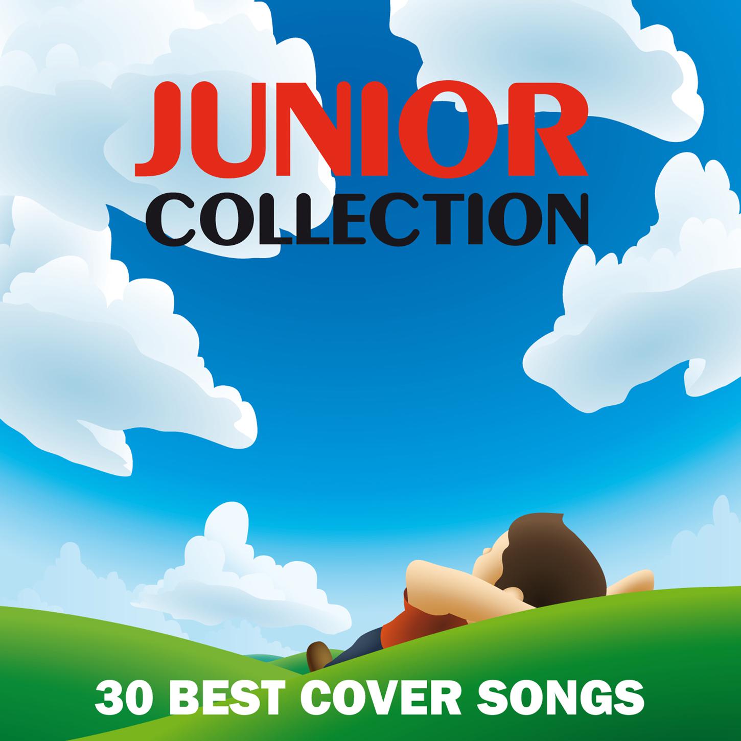 Junior collection (30 Best Cover songs)