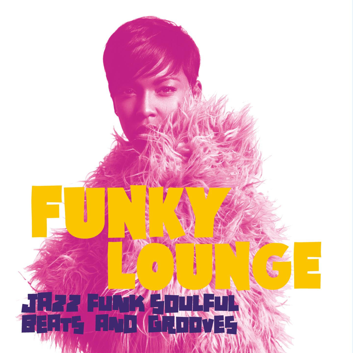 Funky Lounge (Jazz Funk Soulful Beats and Grooves)