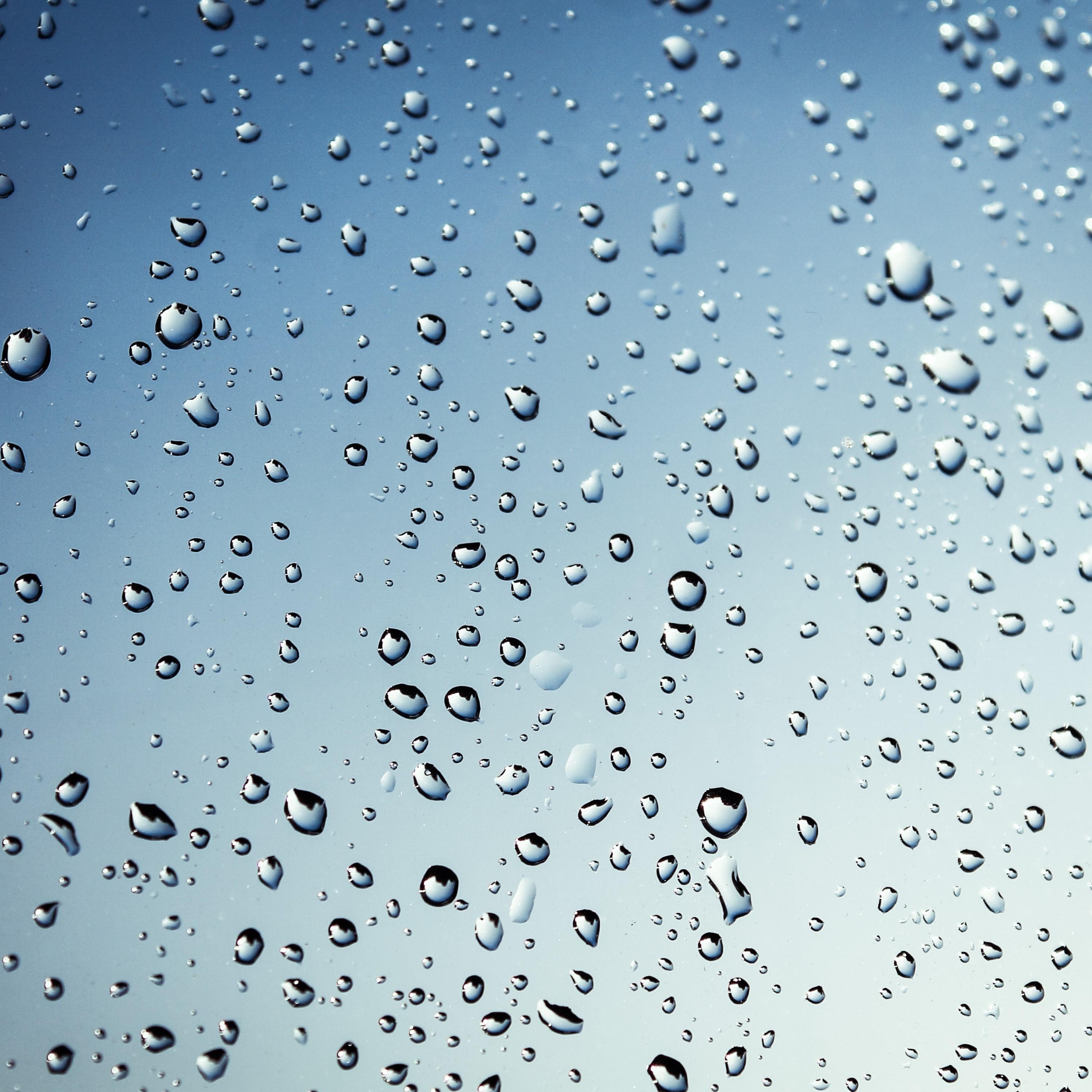 August 2019: Light Rain for Summer Afternoon Chill