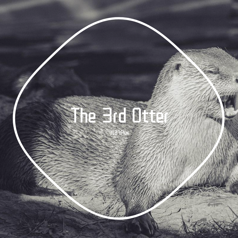 The 3rd Otter