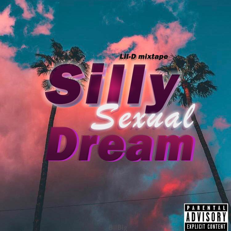 Silly ****** Dream