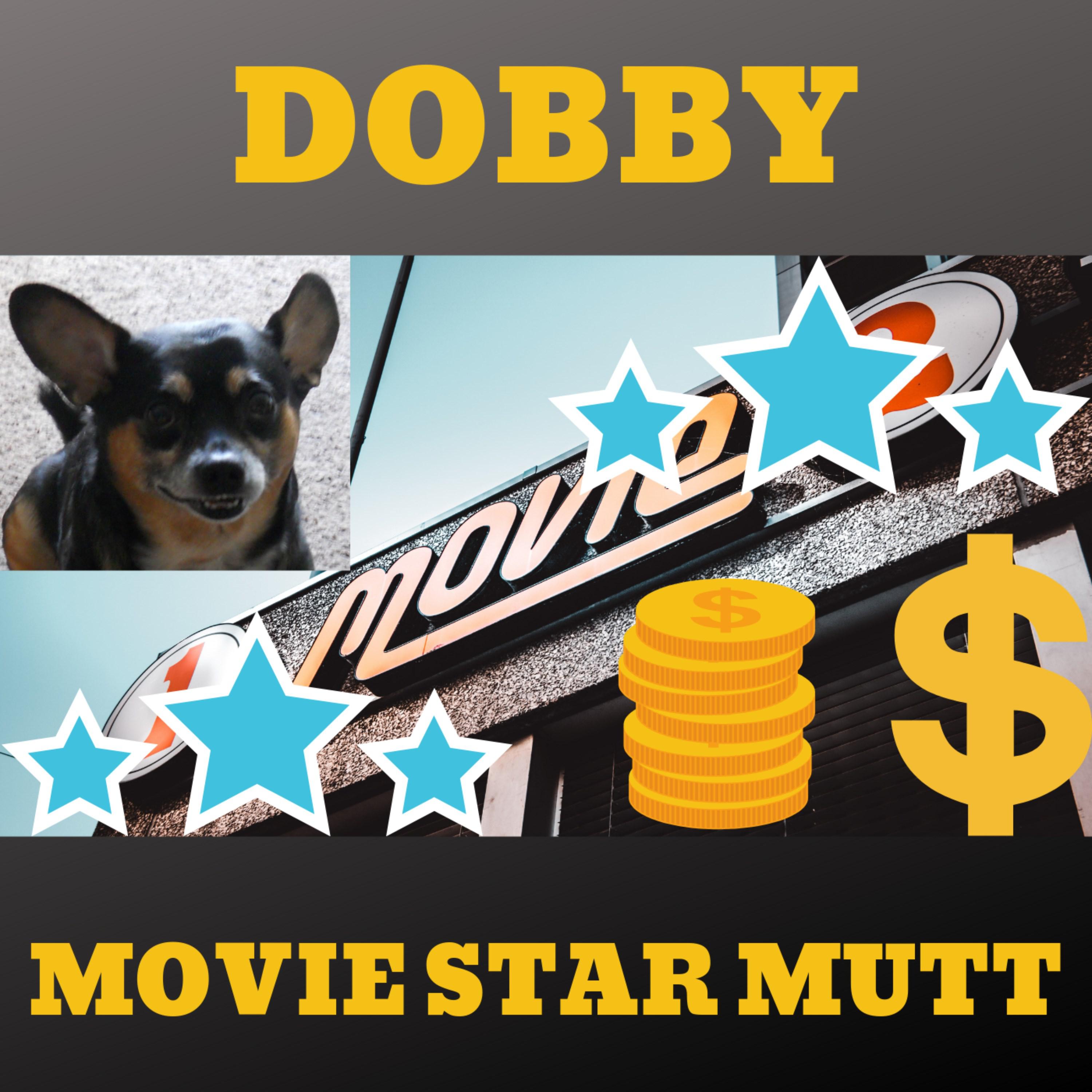 Dobby - Movie Star Mutt