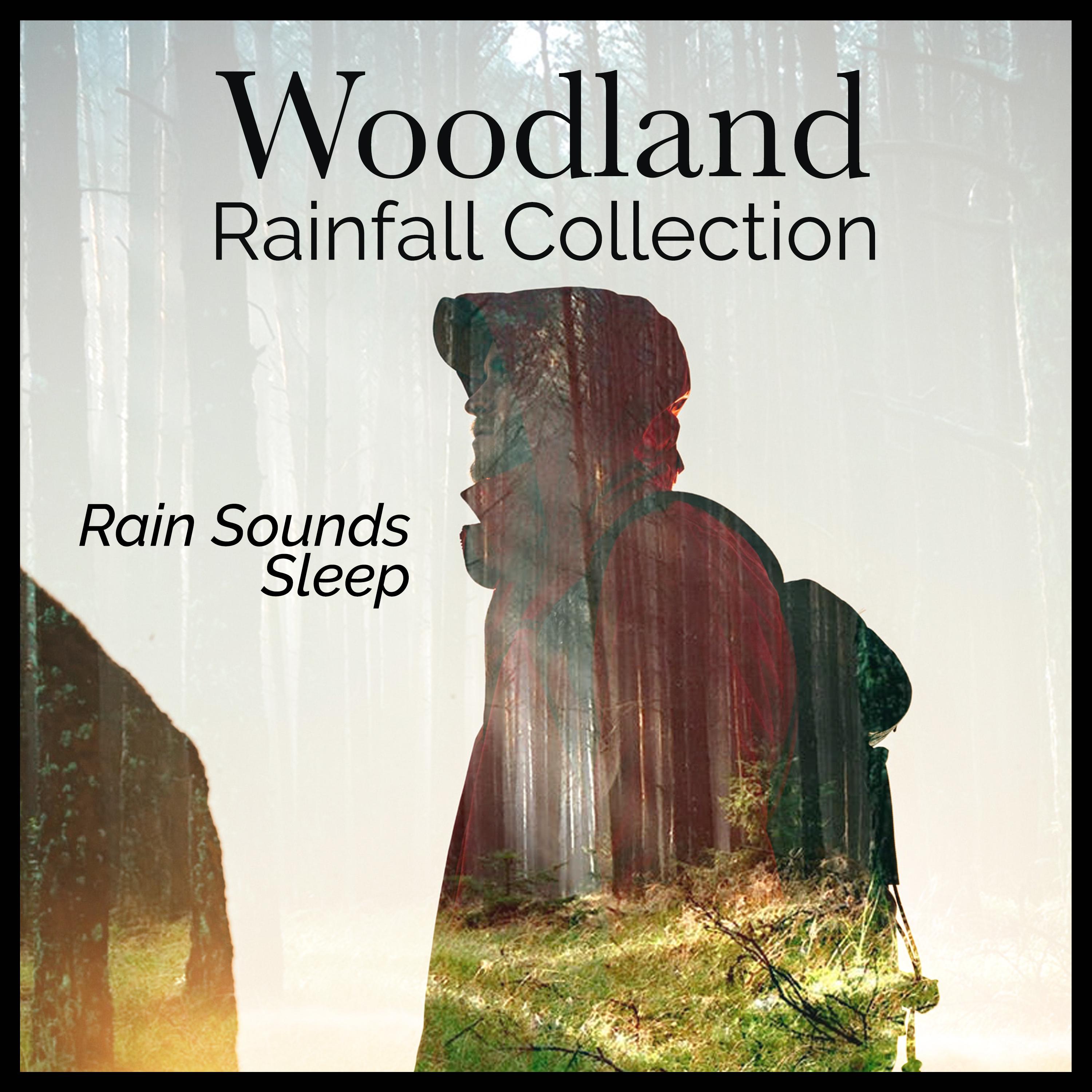 Woodland Rainfall Collection