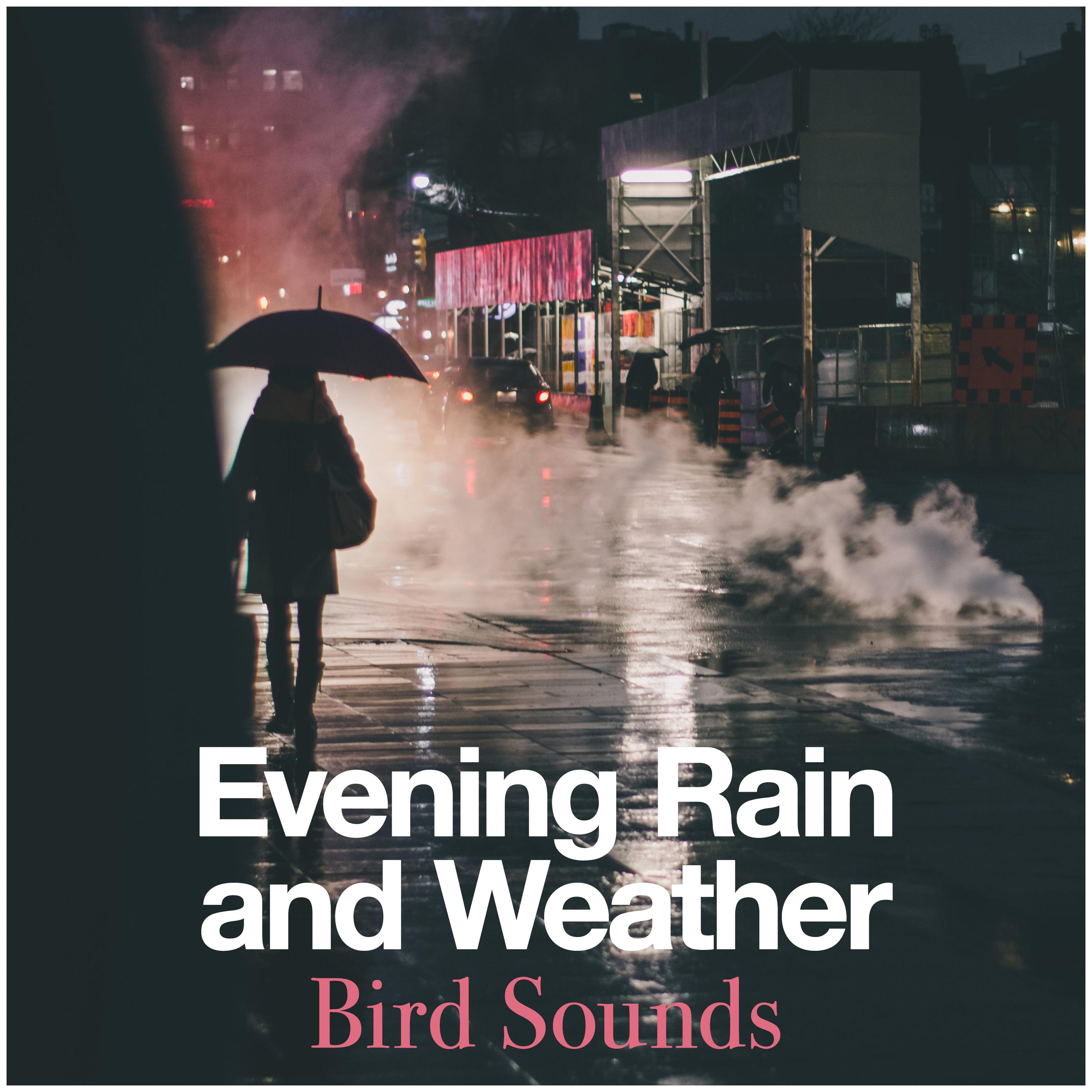 Evening Rain and Weather