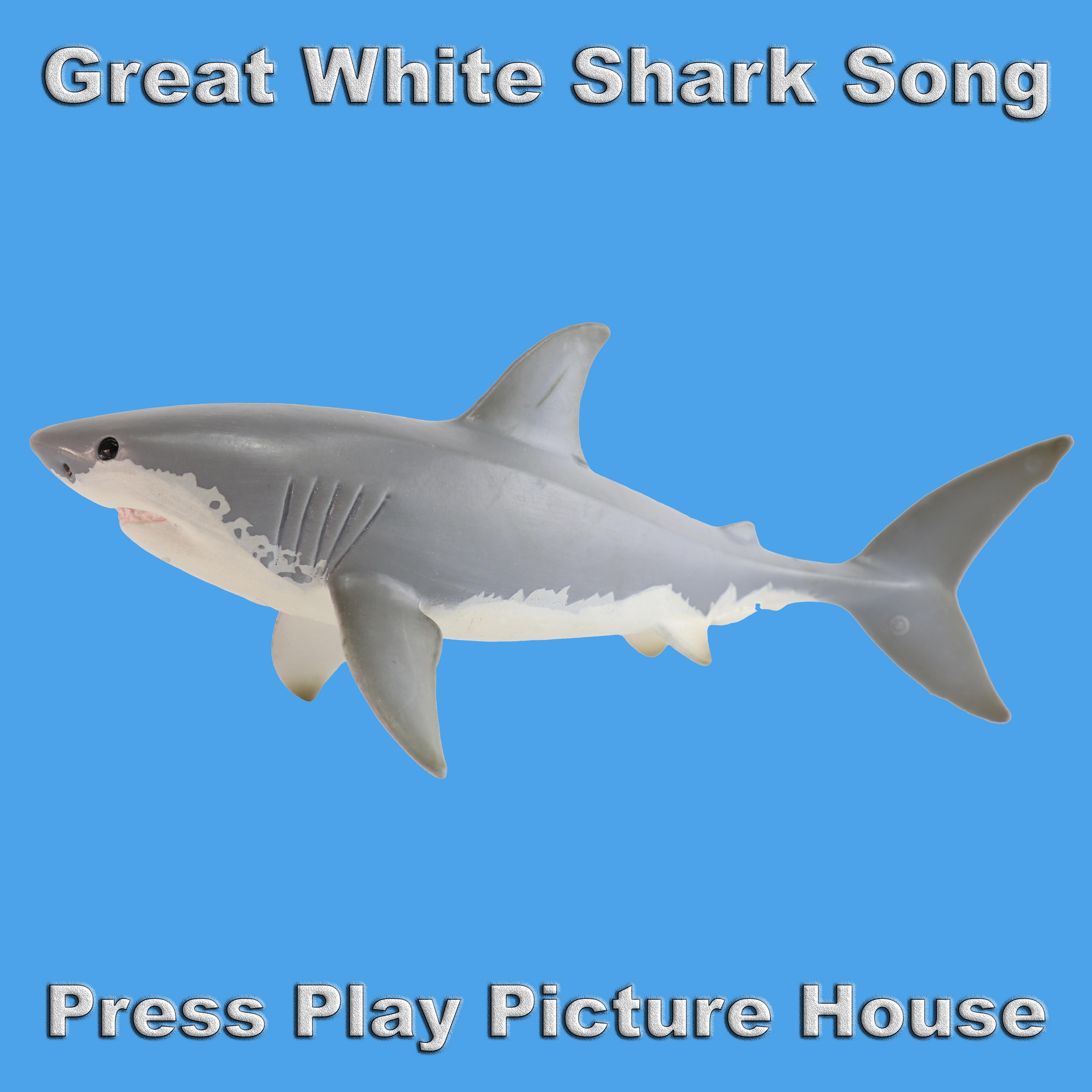 Great White Shark Song