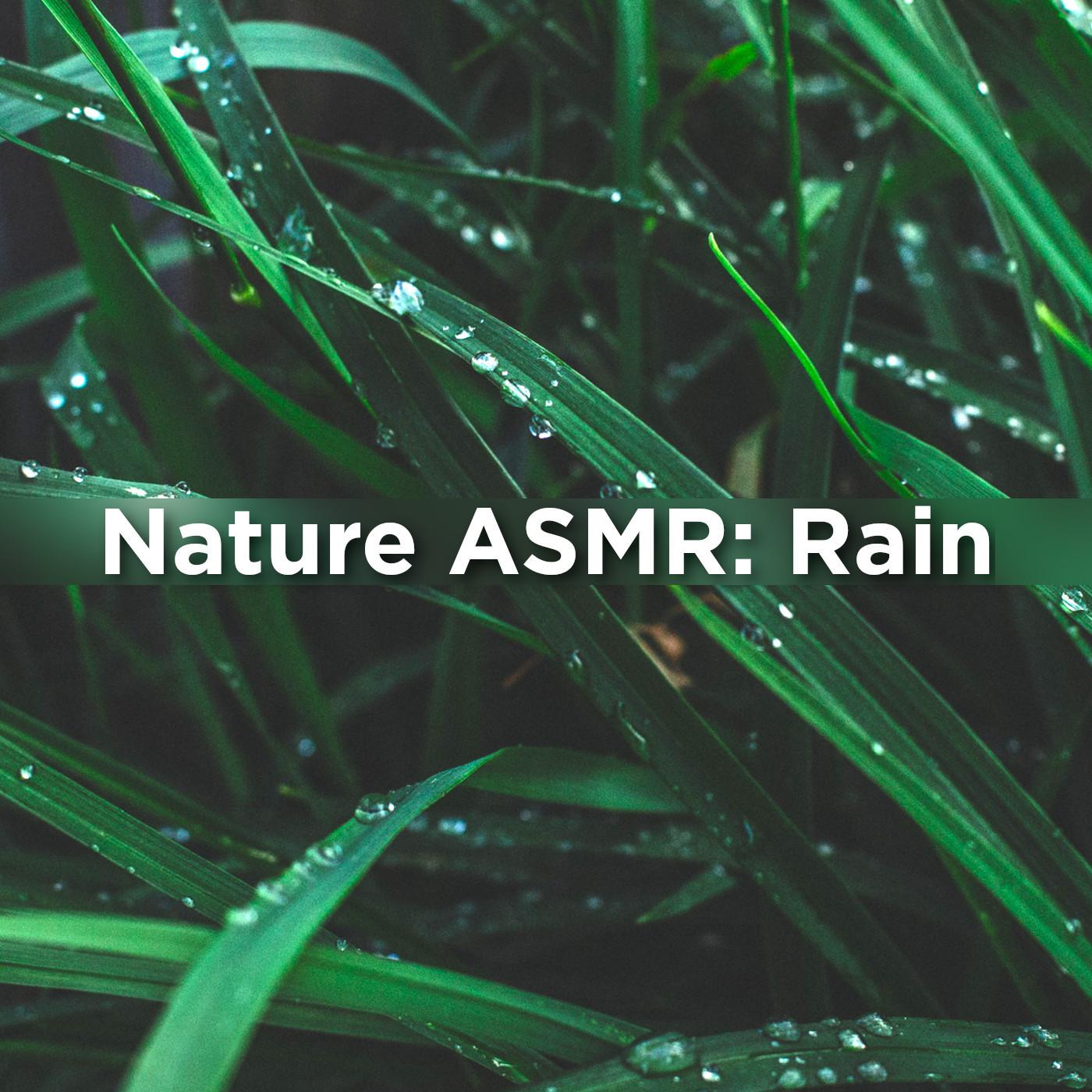 Nature Asmr: Rain