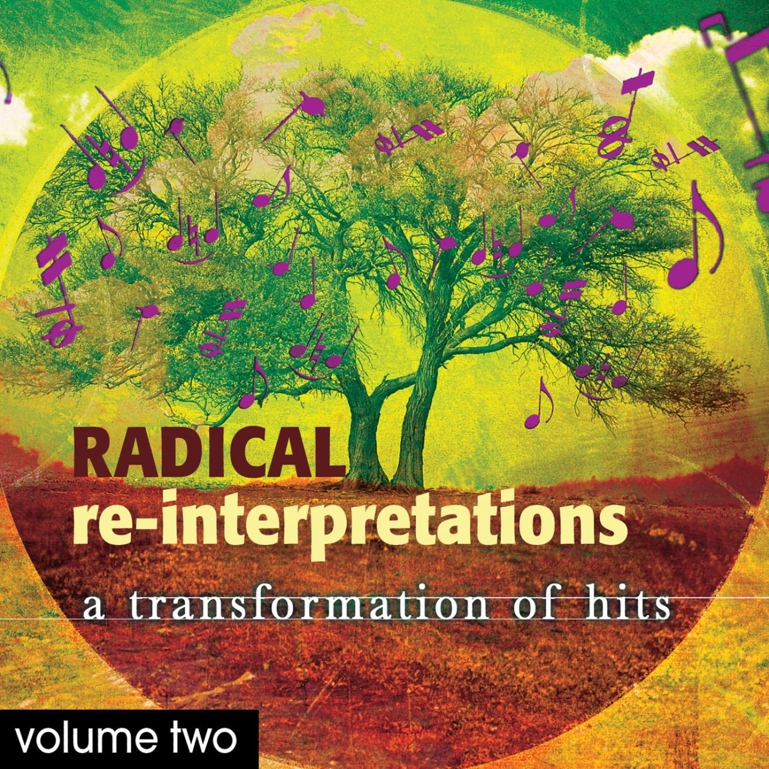 Radical Re-Interpretations Vol. 2: A Transformation of Hits