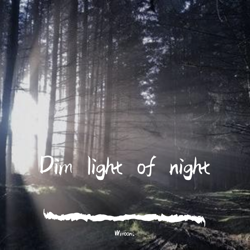 Dim light of night