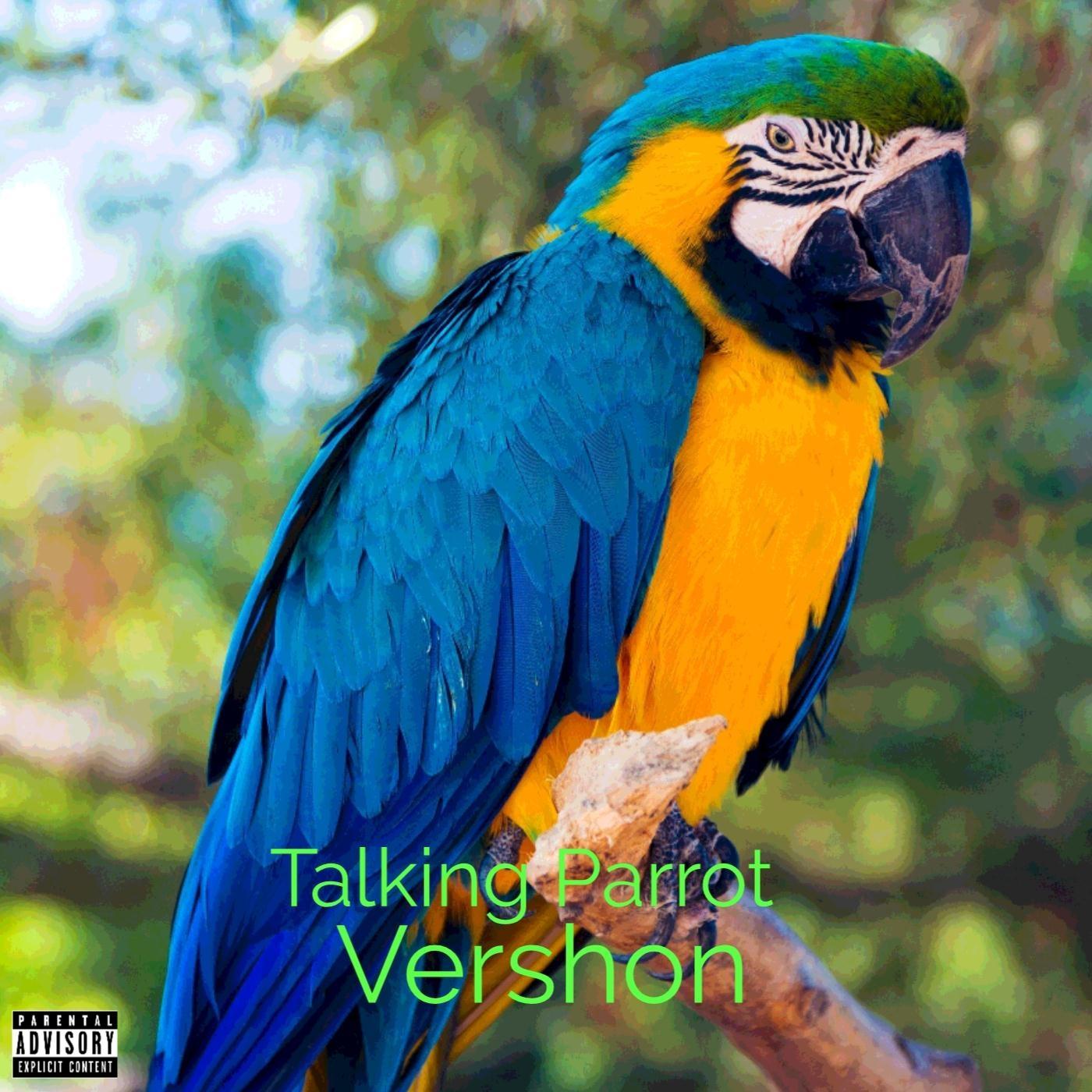 Talking Parrot