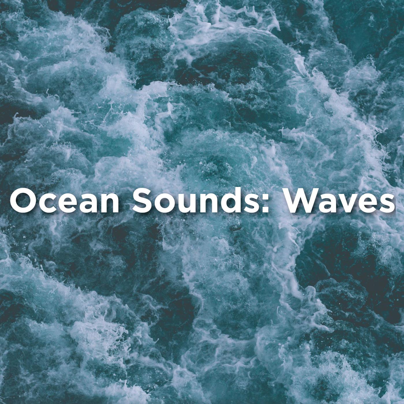 Ocean Sounds: Waves