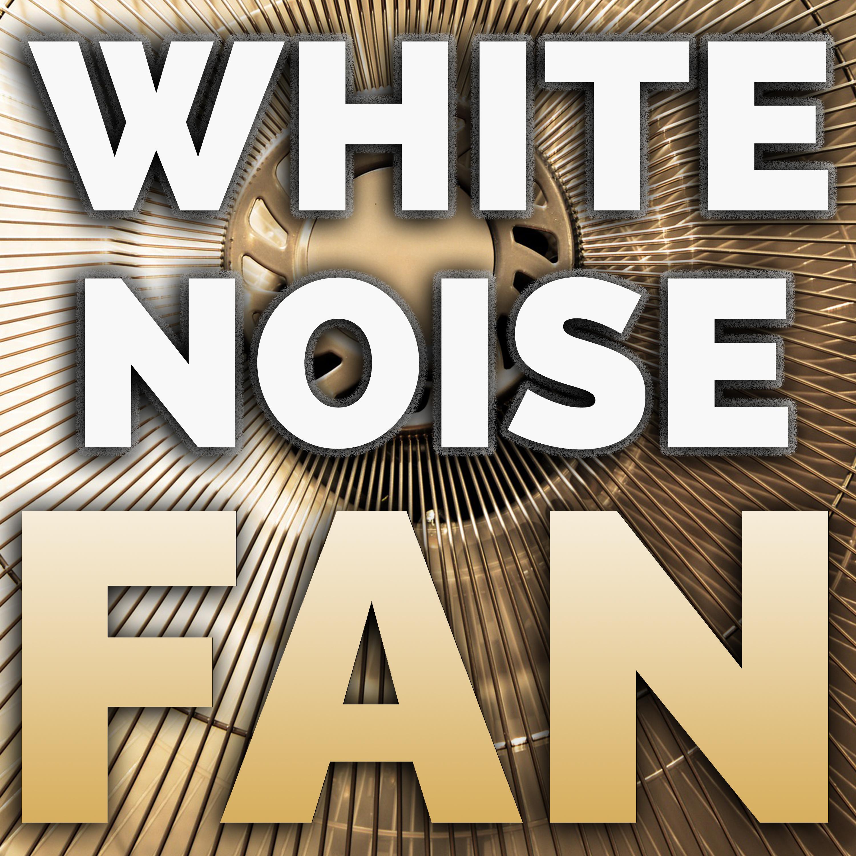 White Noise Fan