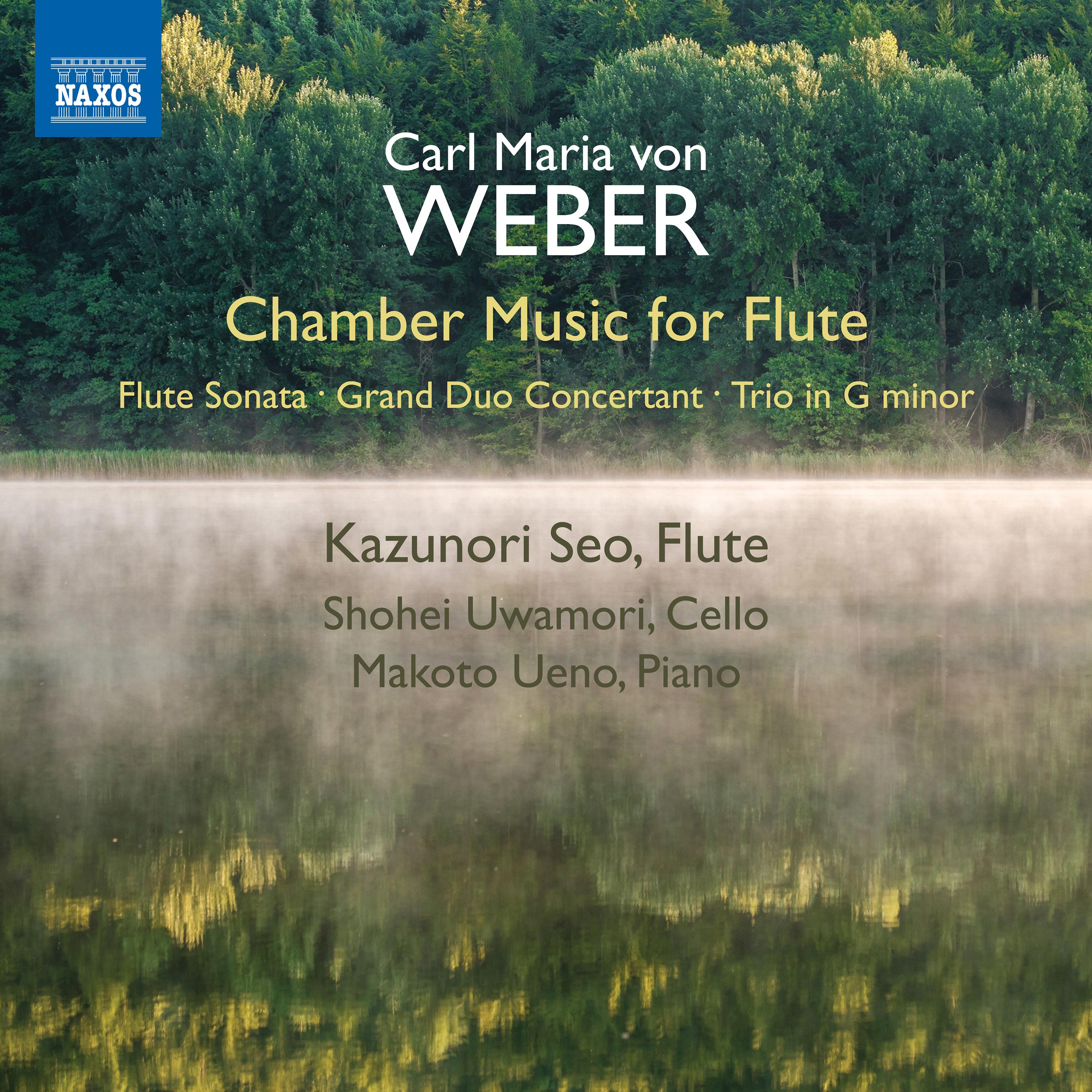 Flute Trio in G Minor, Op. 63, J. 259:II. Scherzo: Allegro vivace