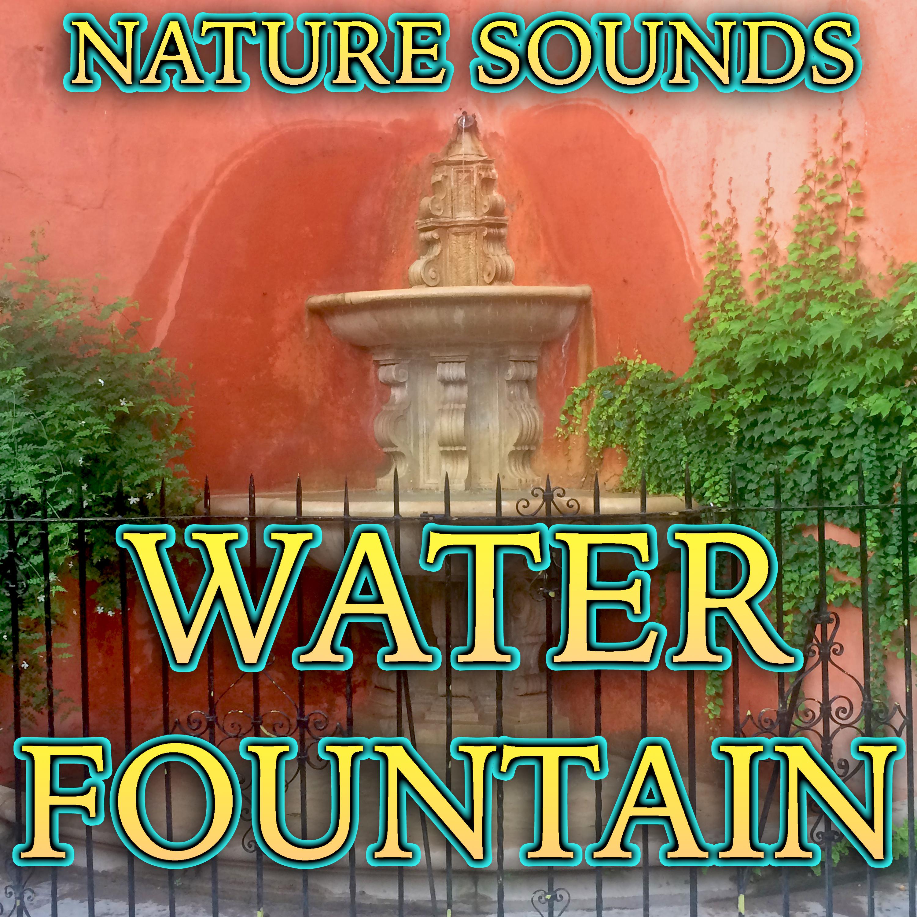 Nature Sounds Water Fountain