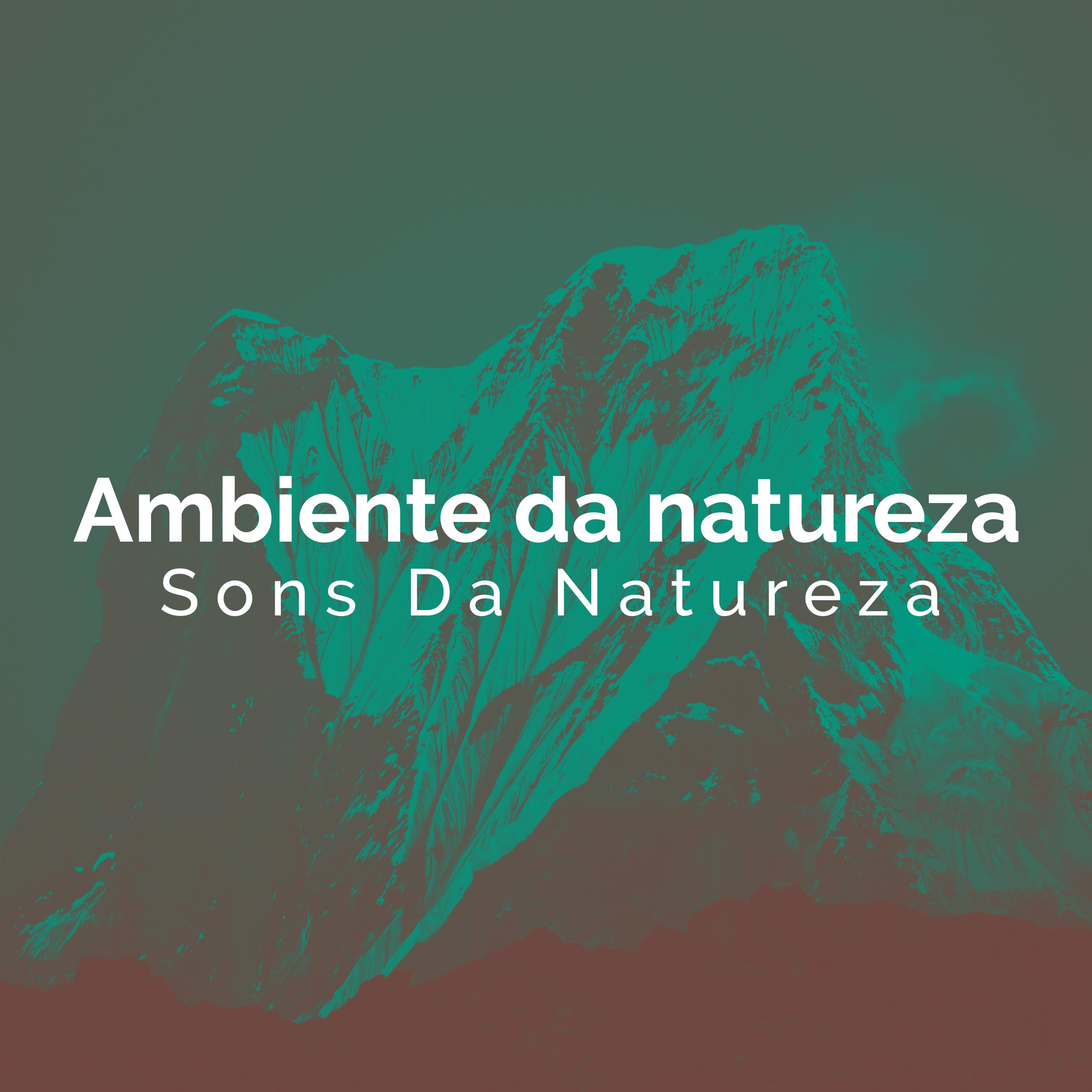 Ambiente da natureza