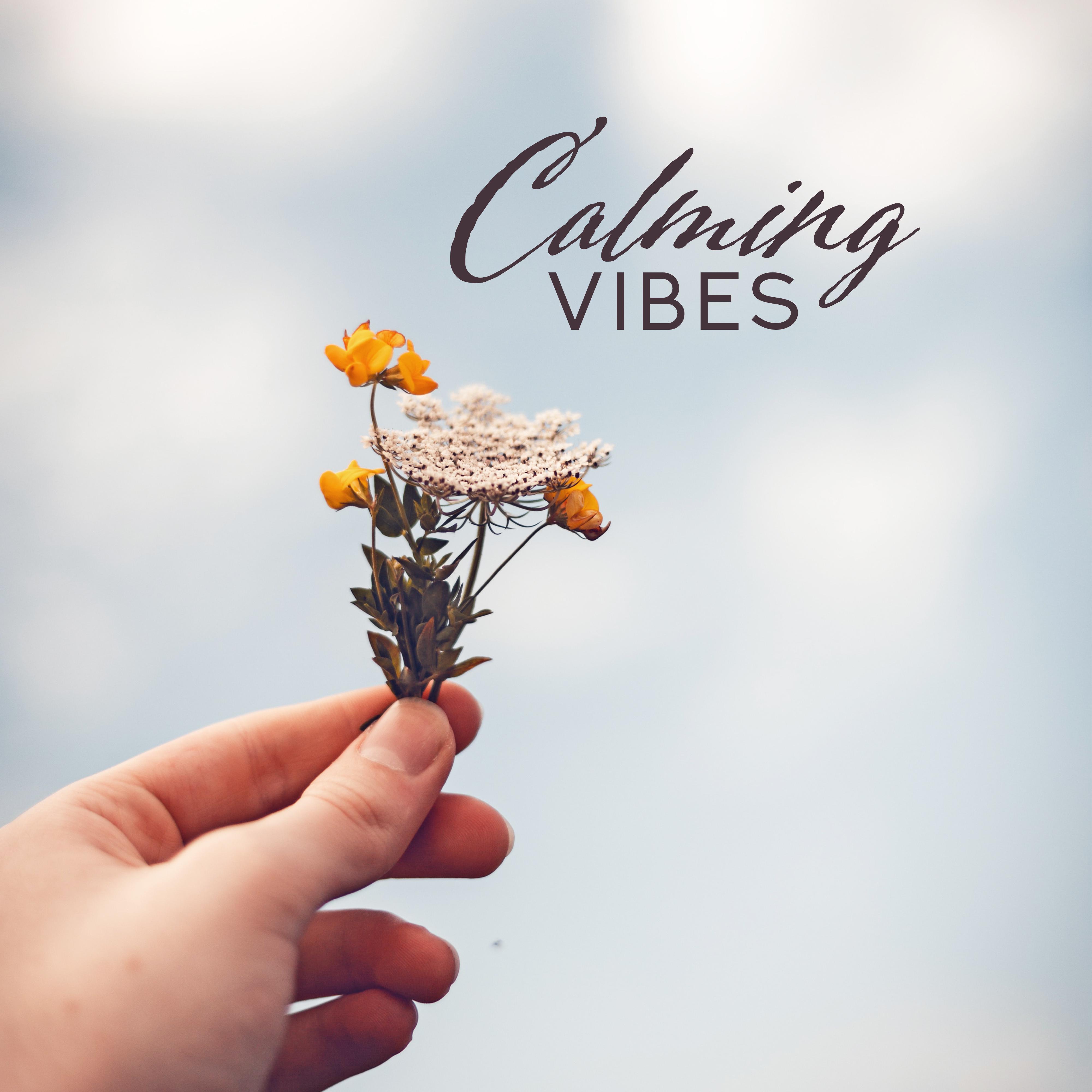 Calming Vibes: Stress Relieving Music Chillout for Moments of Relaxation and Respite