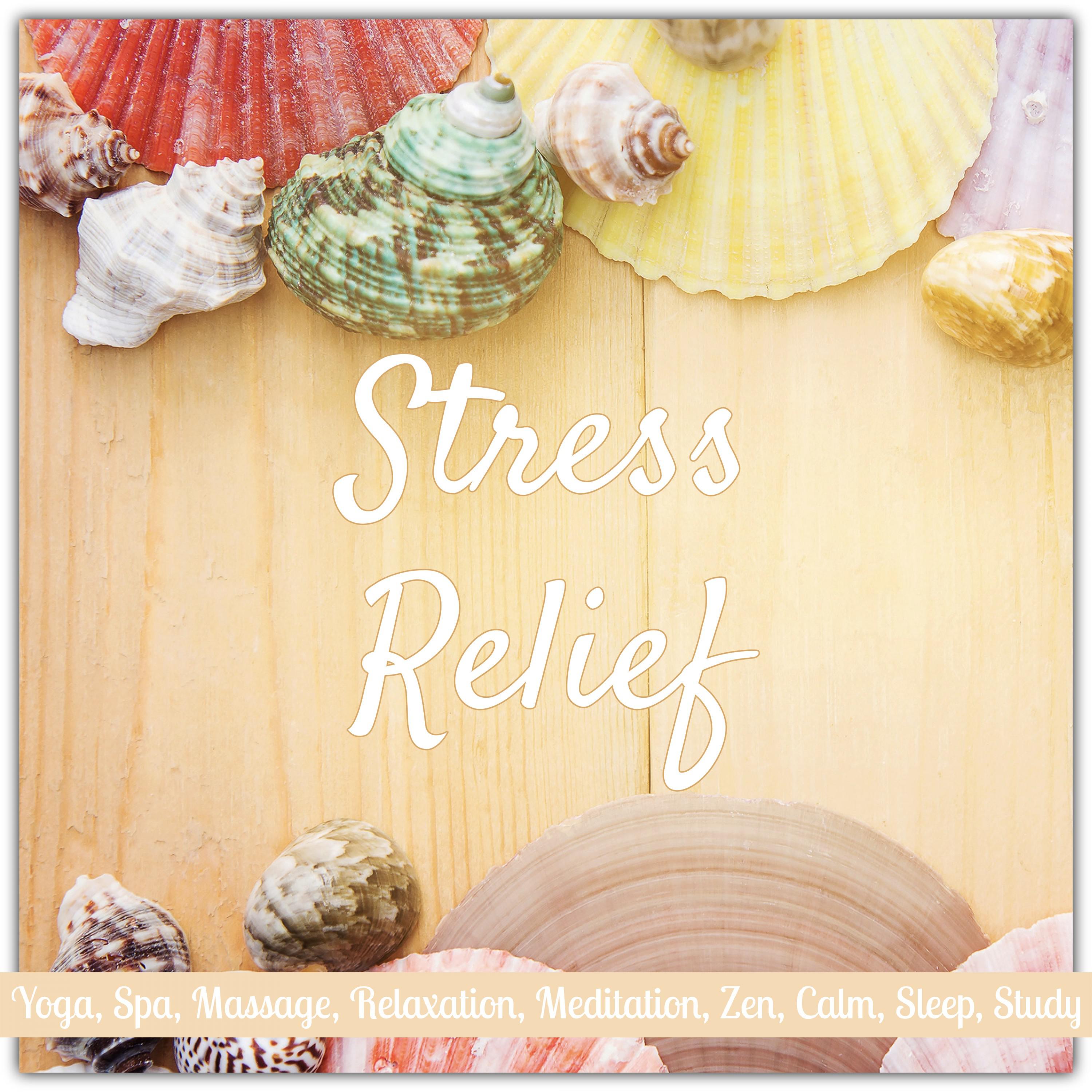 Stress Relief: Yoga, Spa, Massage, Relaxation, Meditation, Zen, Calm, Sleep, Study