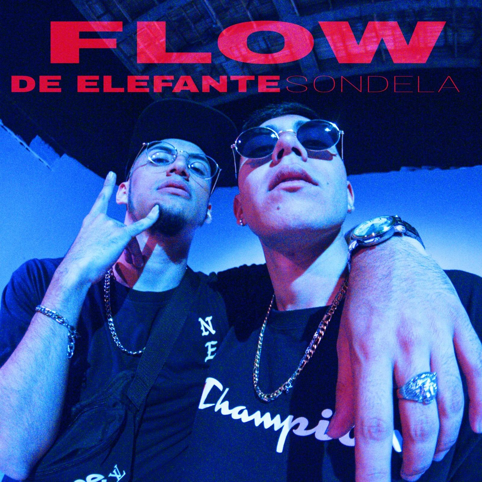 Flow de Elefante