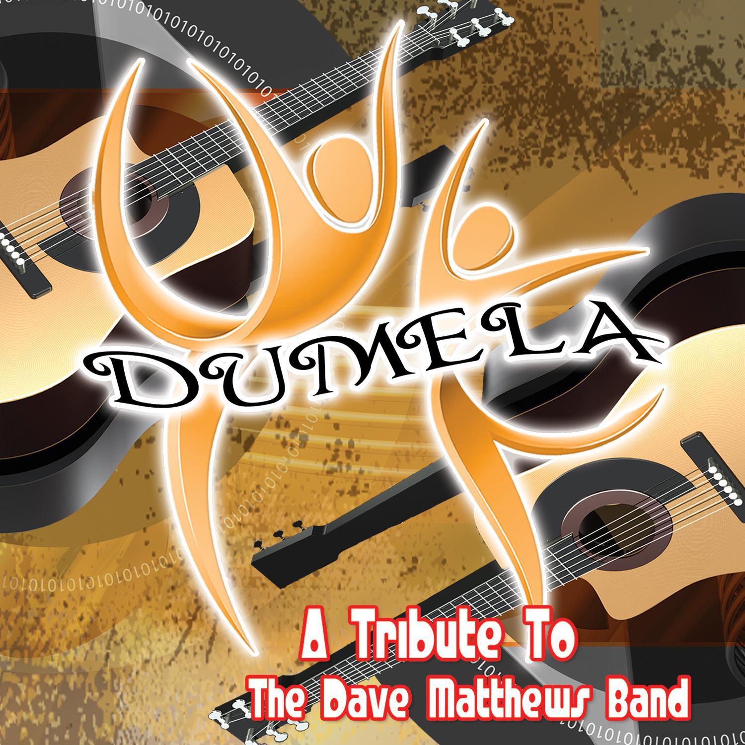 Dumela: A Tribute to Dave Matthews Band