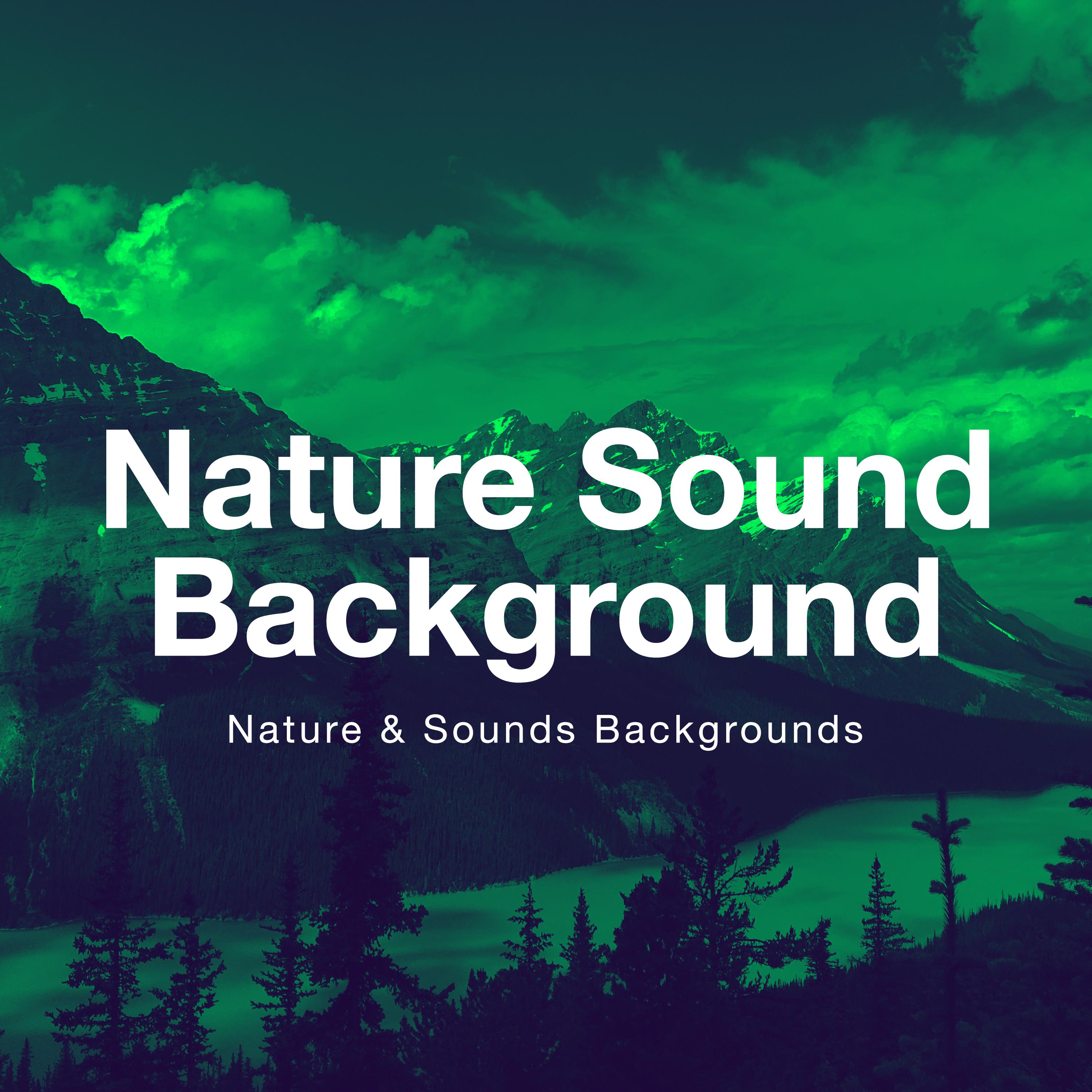 Nature Sound Background