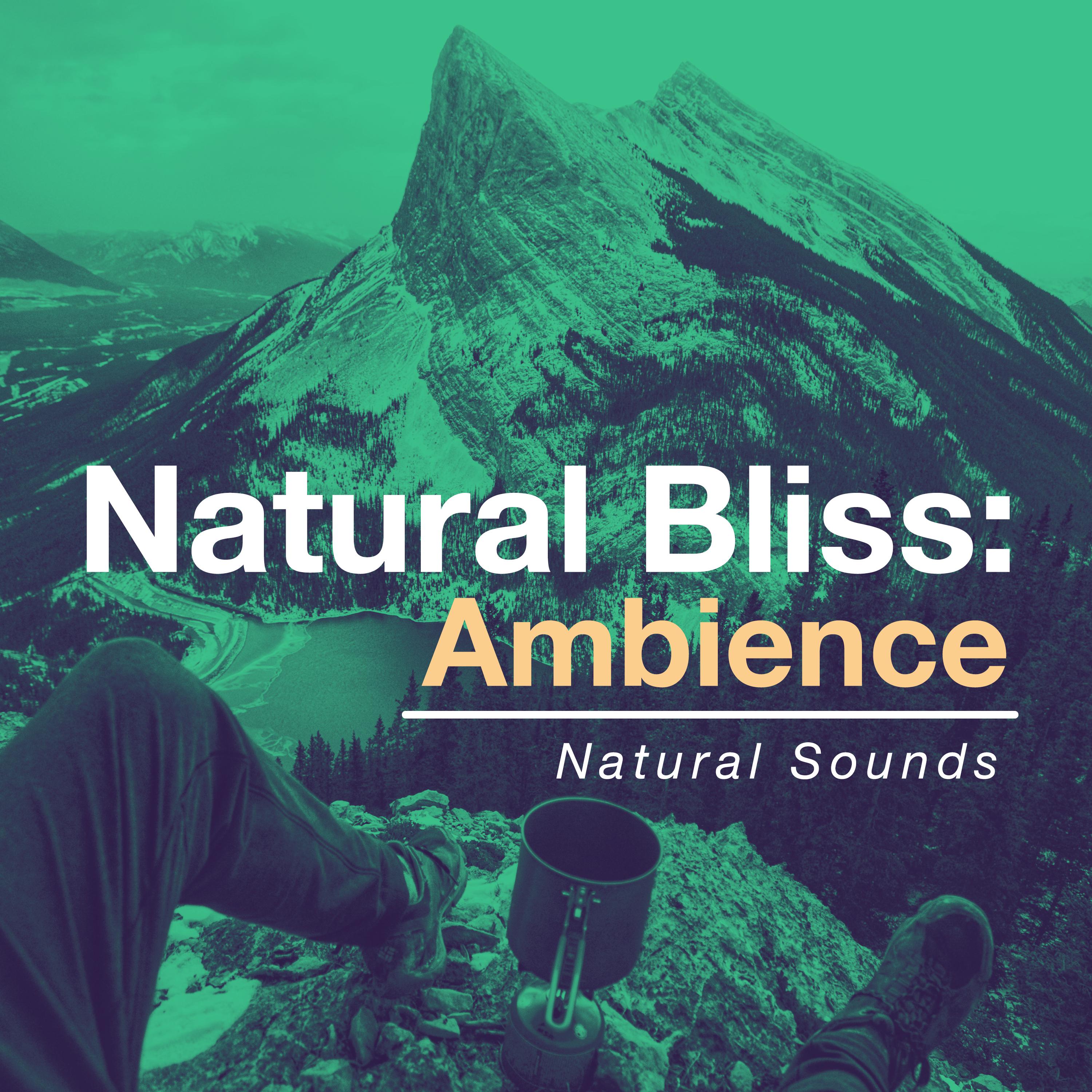 Natural Bliss: Ambience