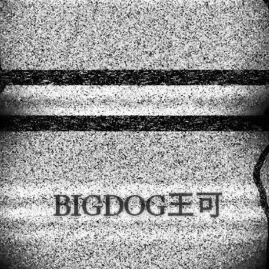 BIGDOG王可