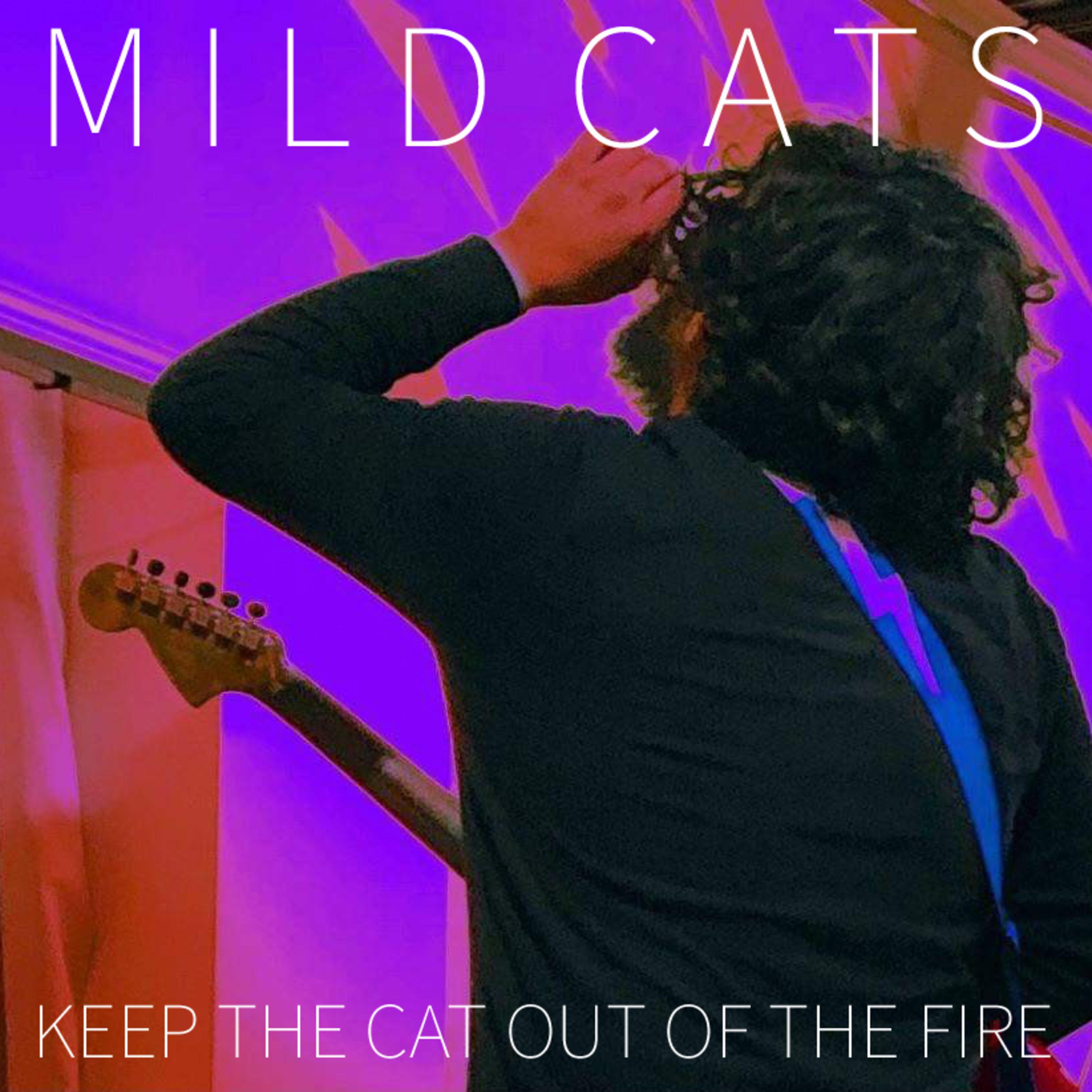 Keep The Cat Out Of The Fire