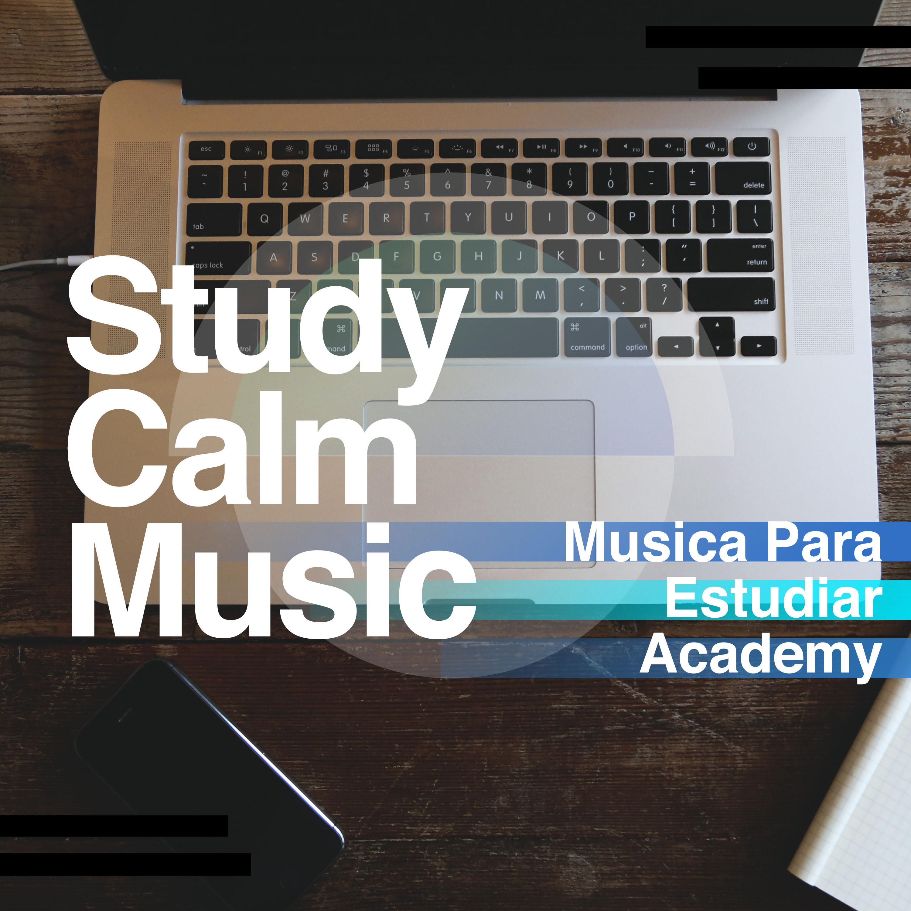 Study Calm Music