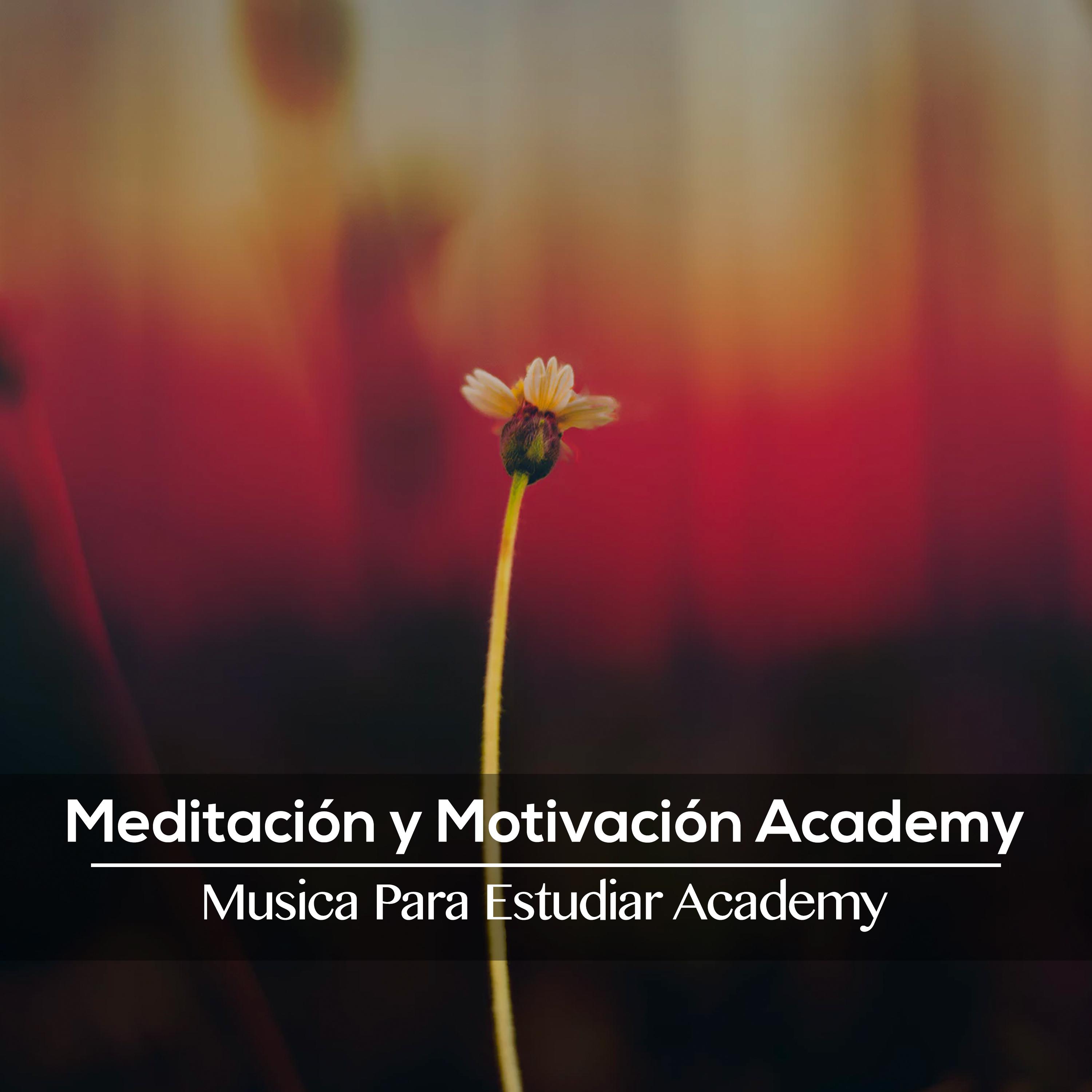 Meditación y Motivación Academy