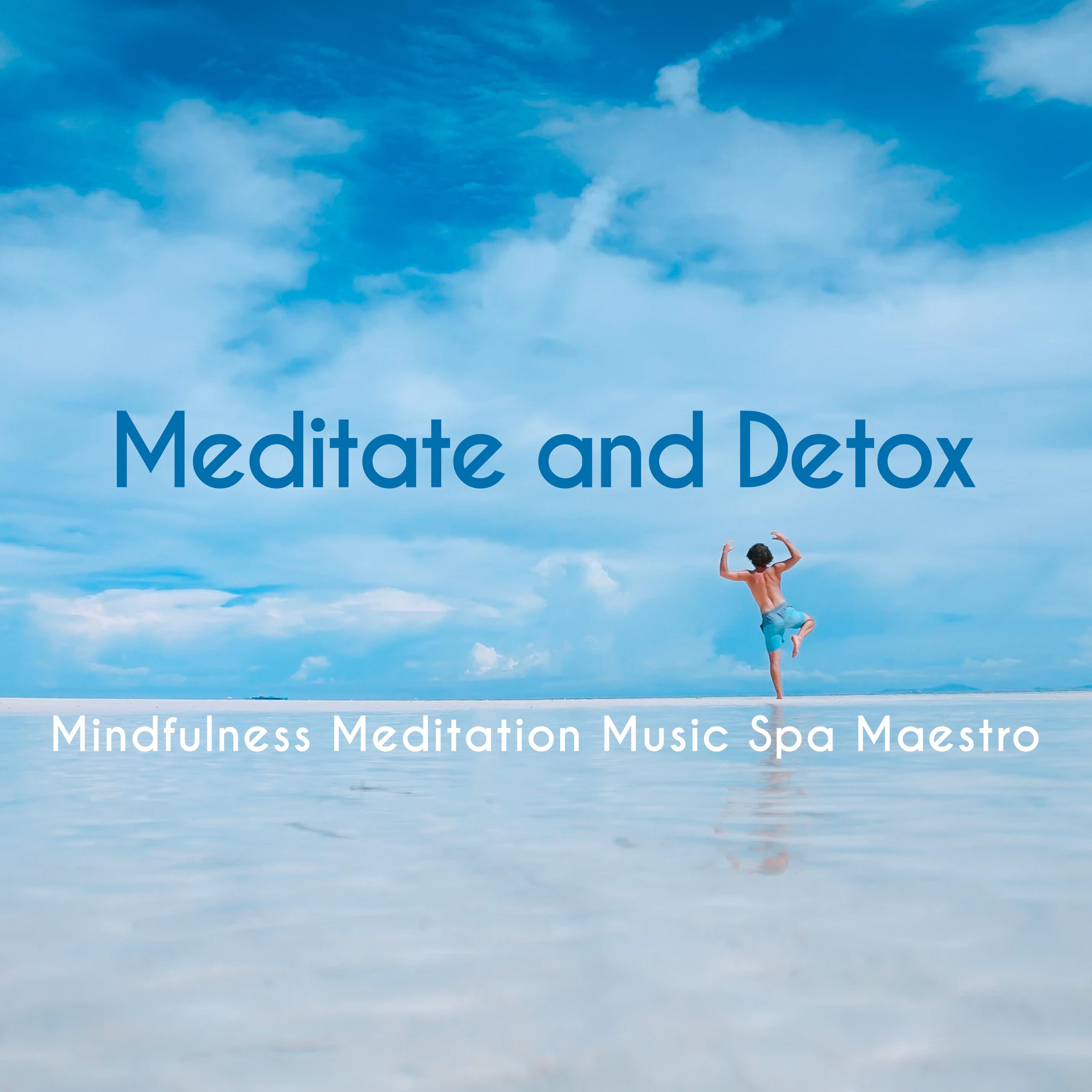Meditate and Detox