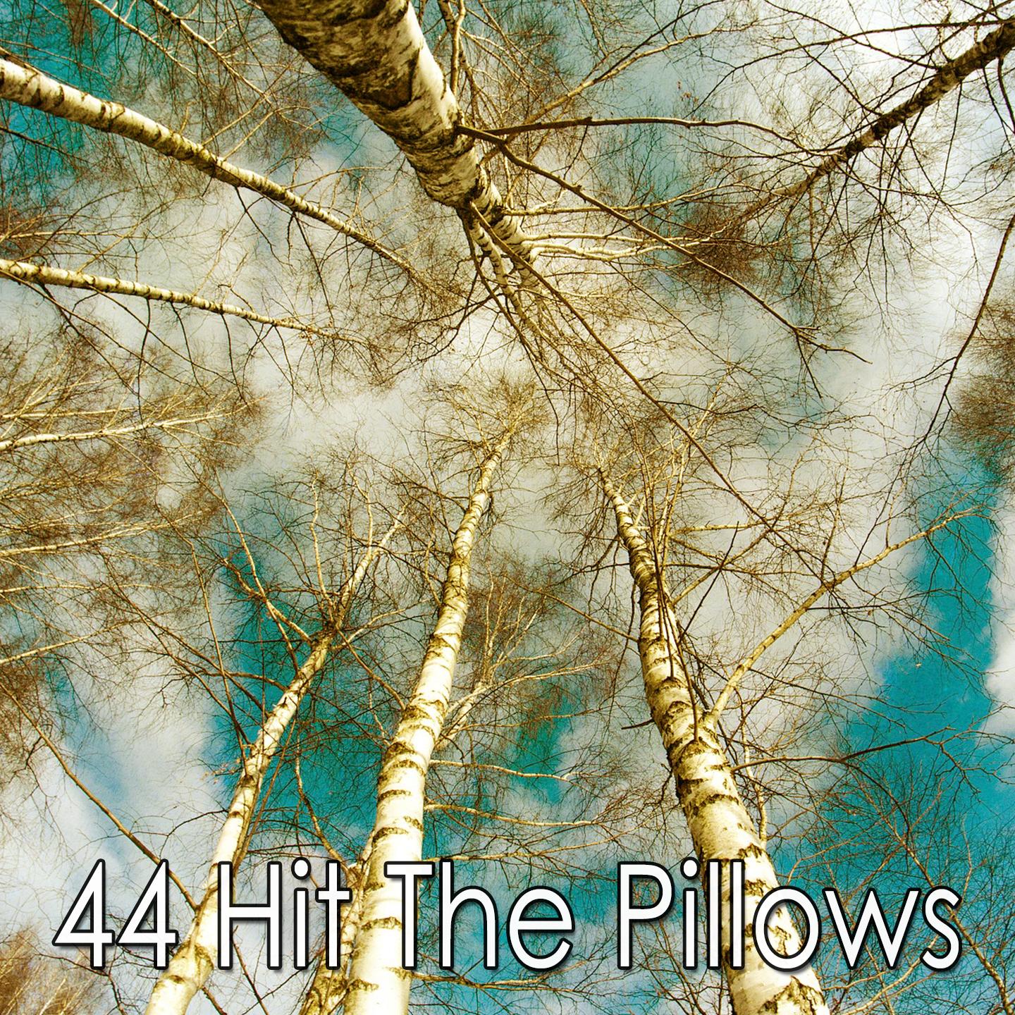 44 Hit the Pillows