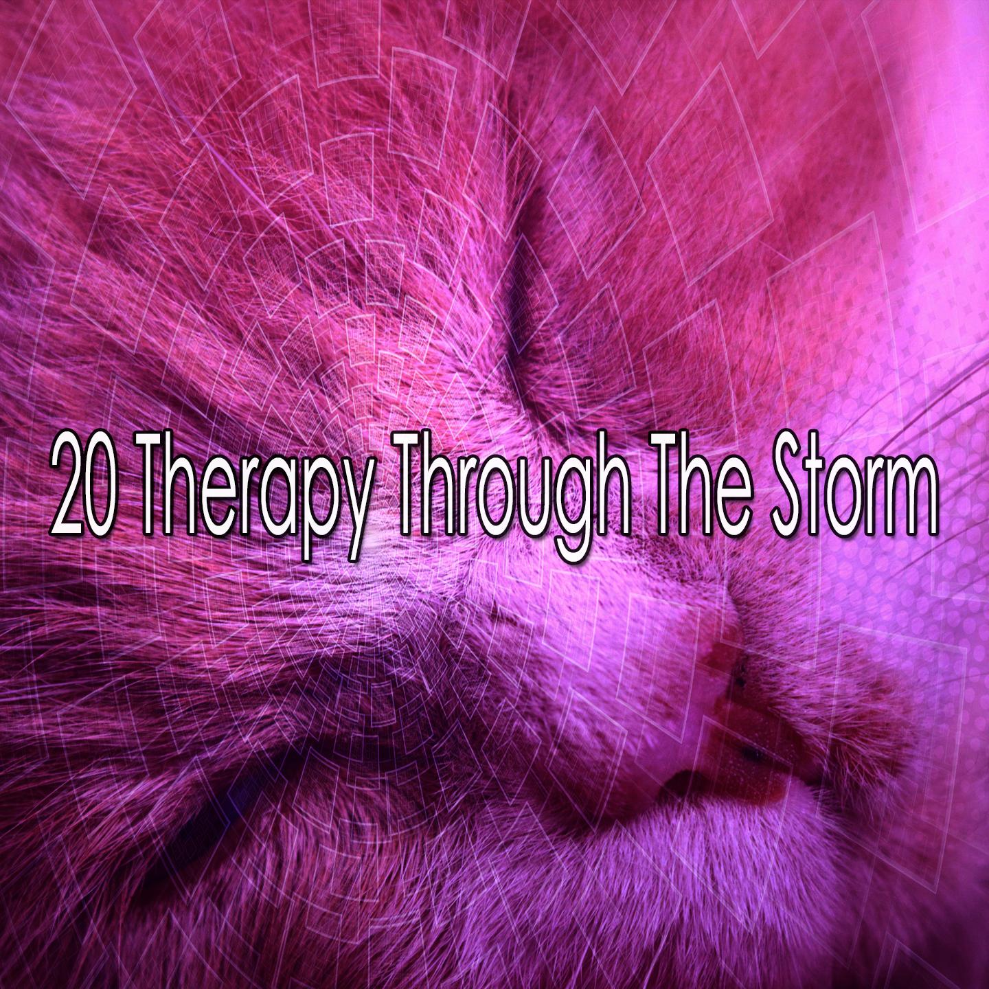 20 Therapy Through the Storm