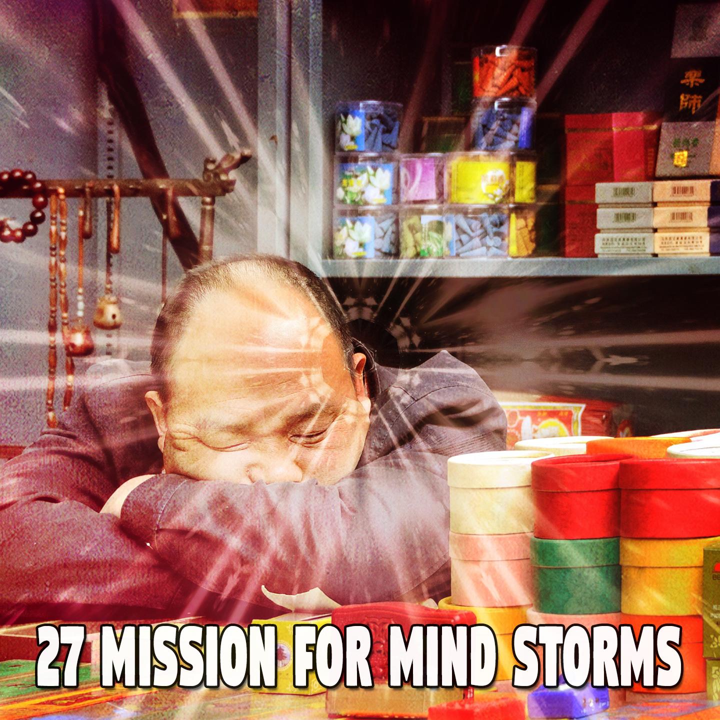 27 Mission for Mind Storms