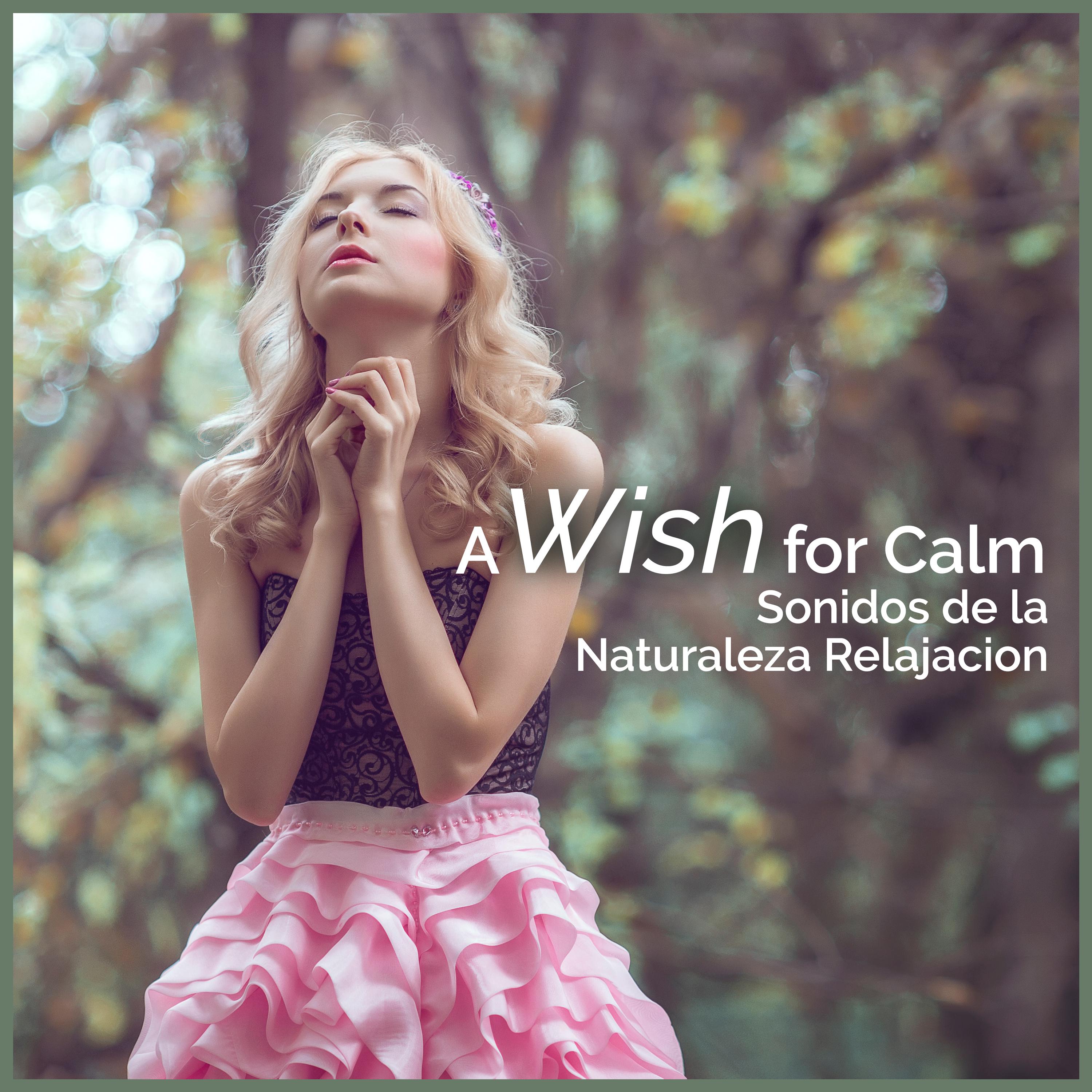 A Wish for Calm