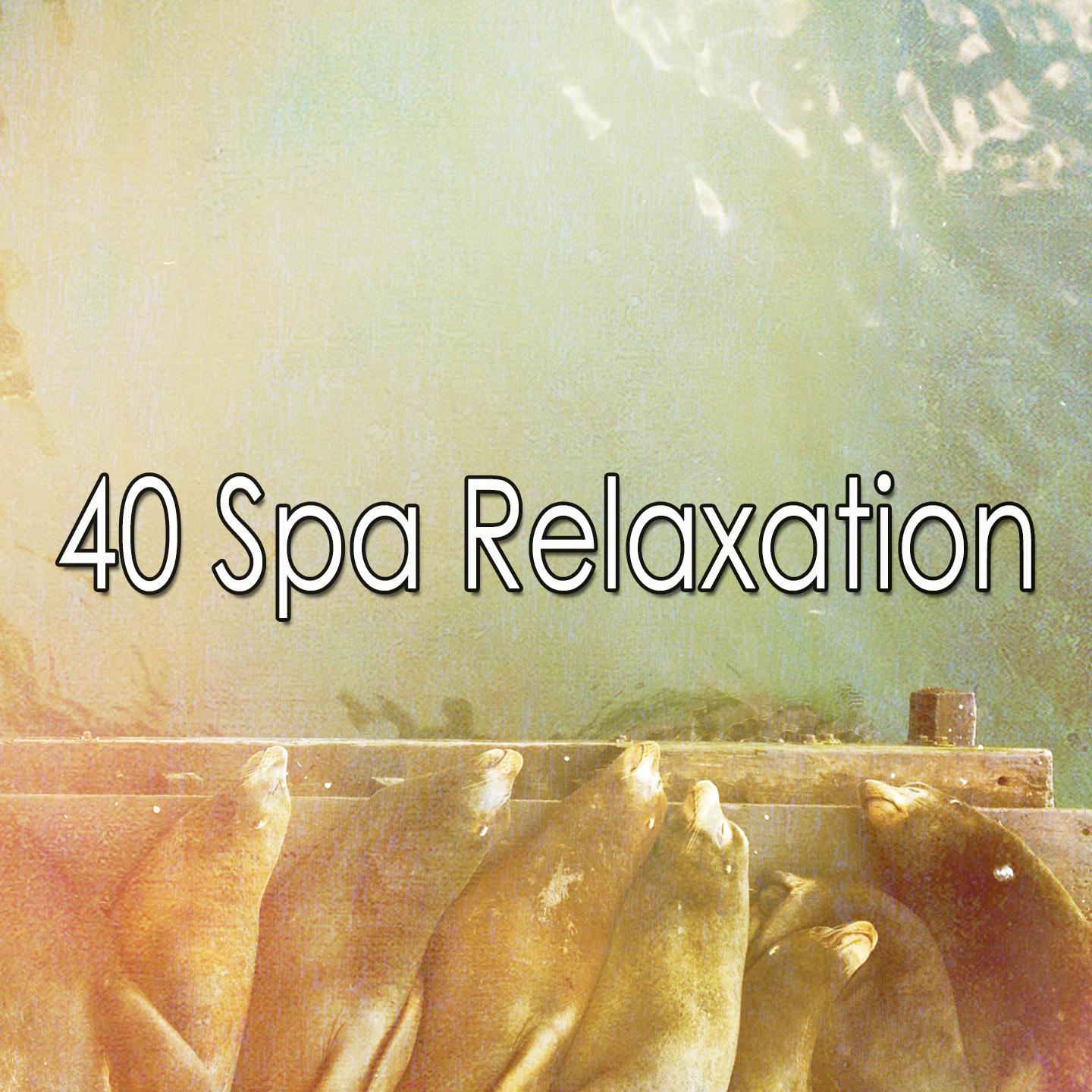 40 Spa Relaxation