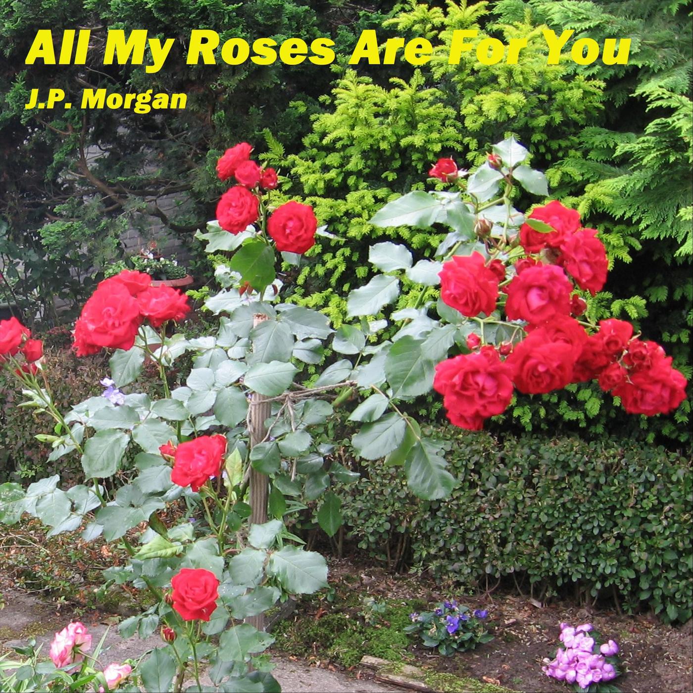 All My Roses Are for You