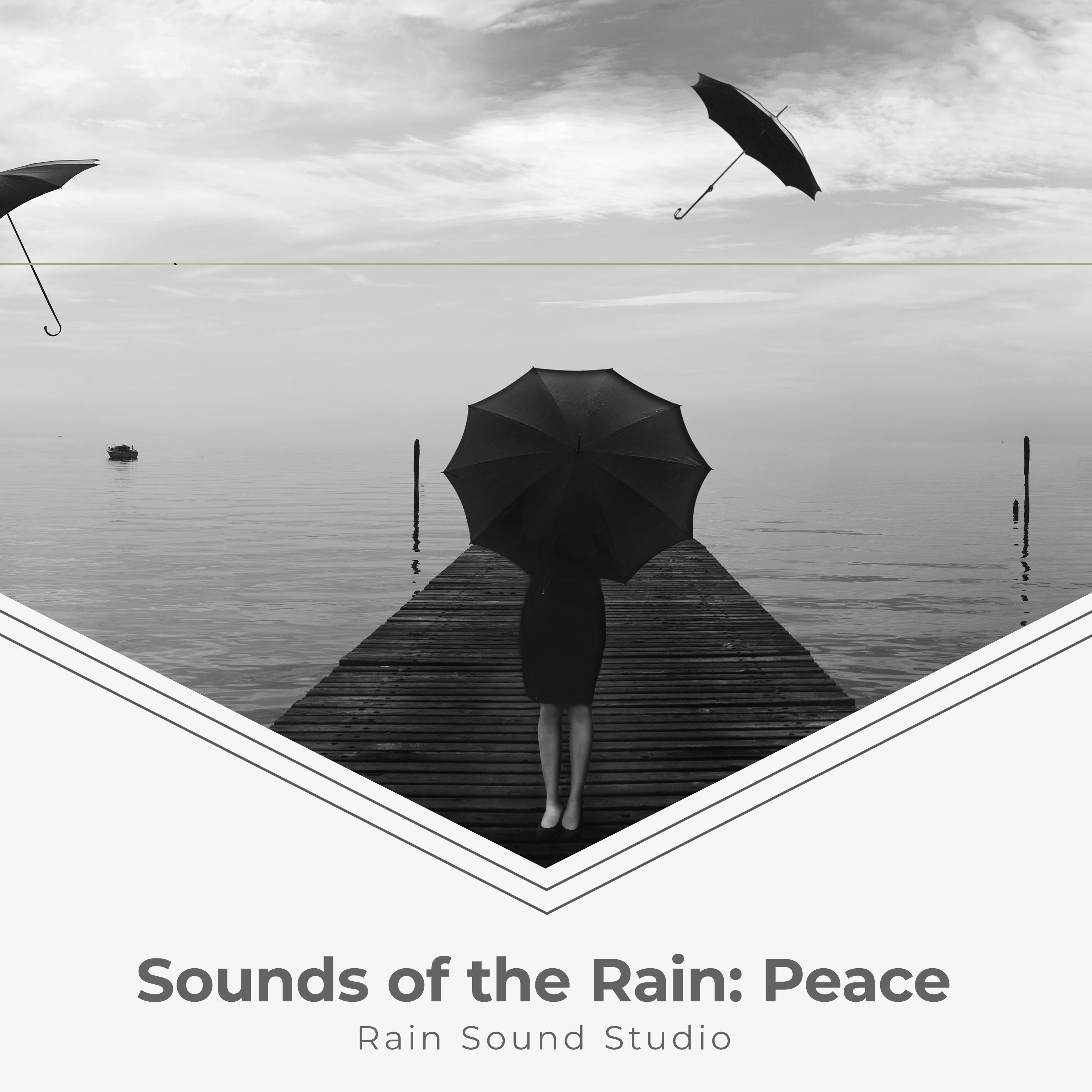 Sounds of the Rain: Peace