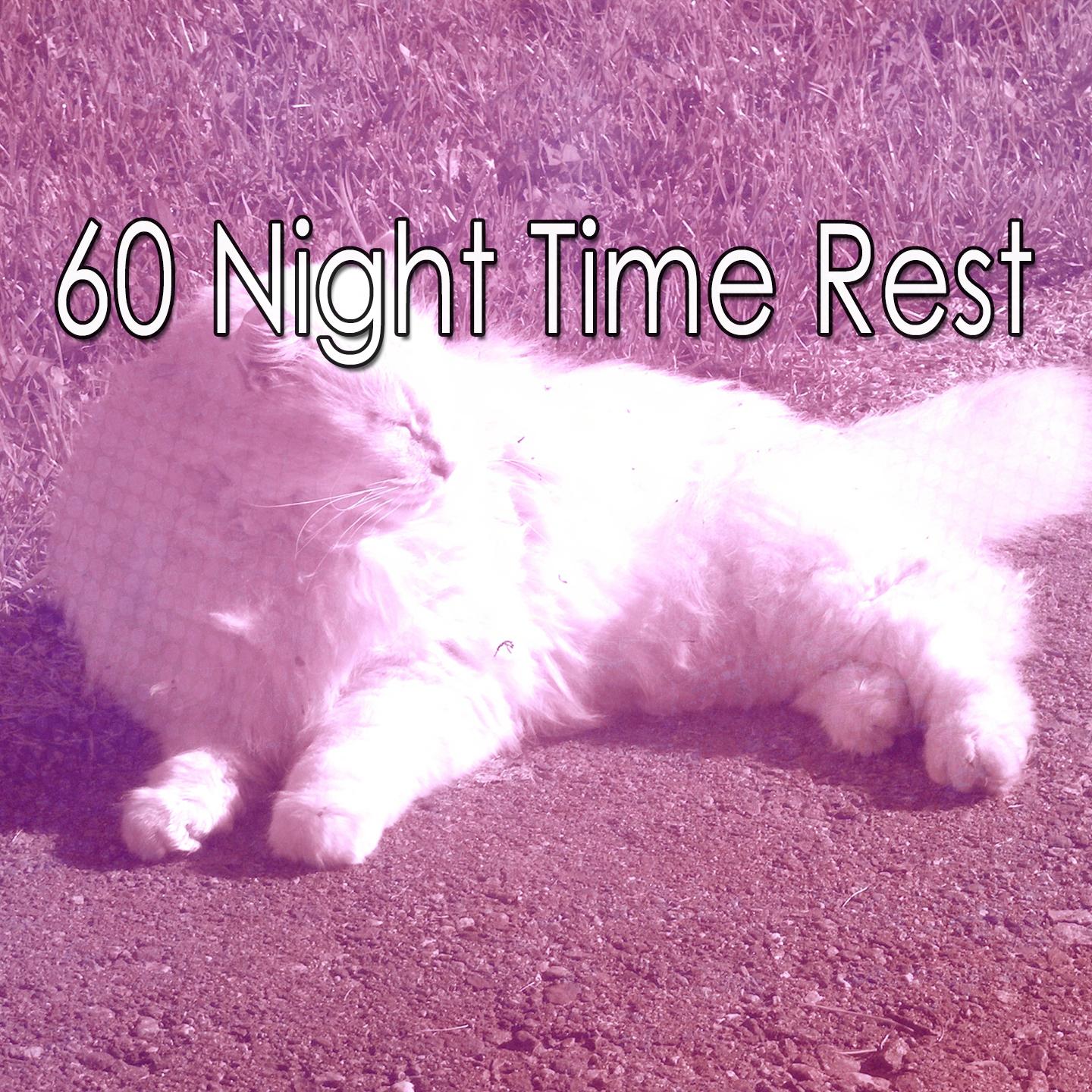 60 Night Time Rest