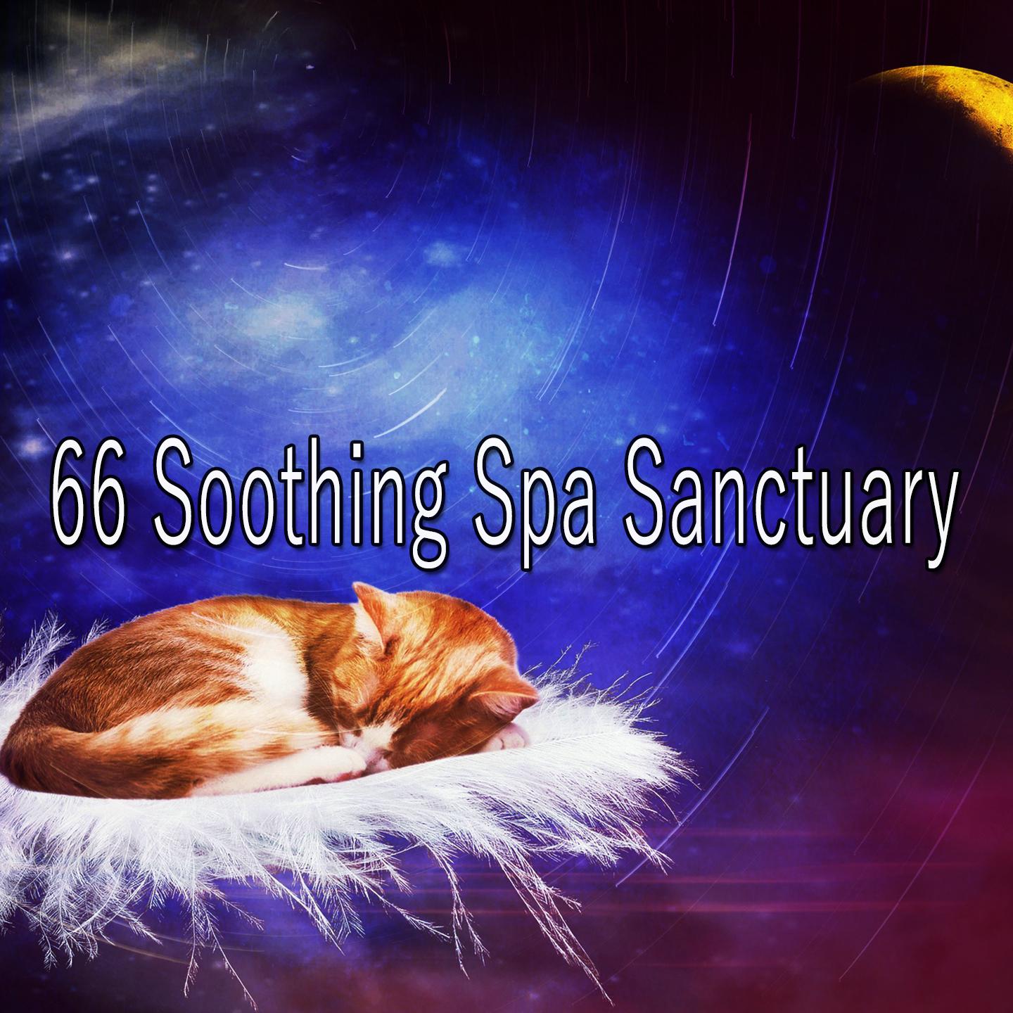 66 Soothing Spa Sanctuary