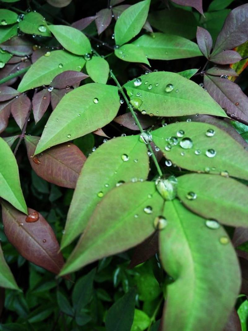 飘与漂泊