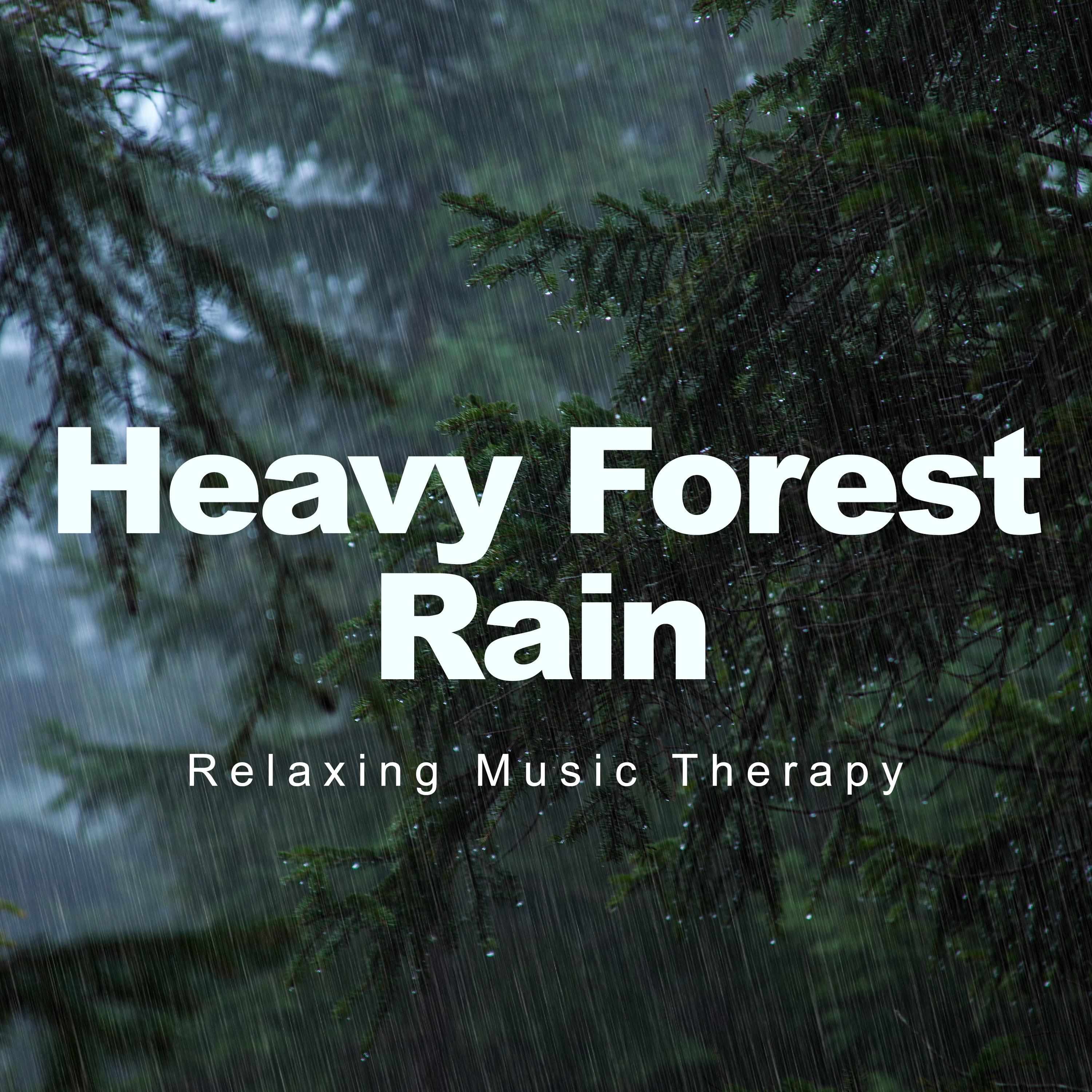 Heavy Forest Rain