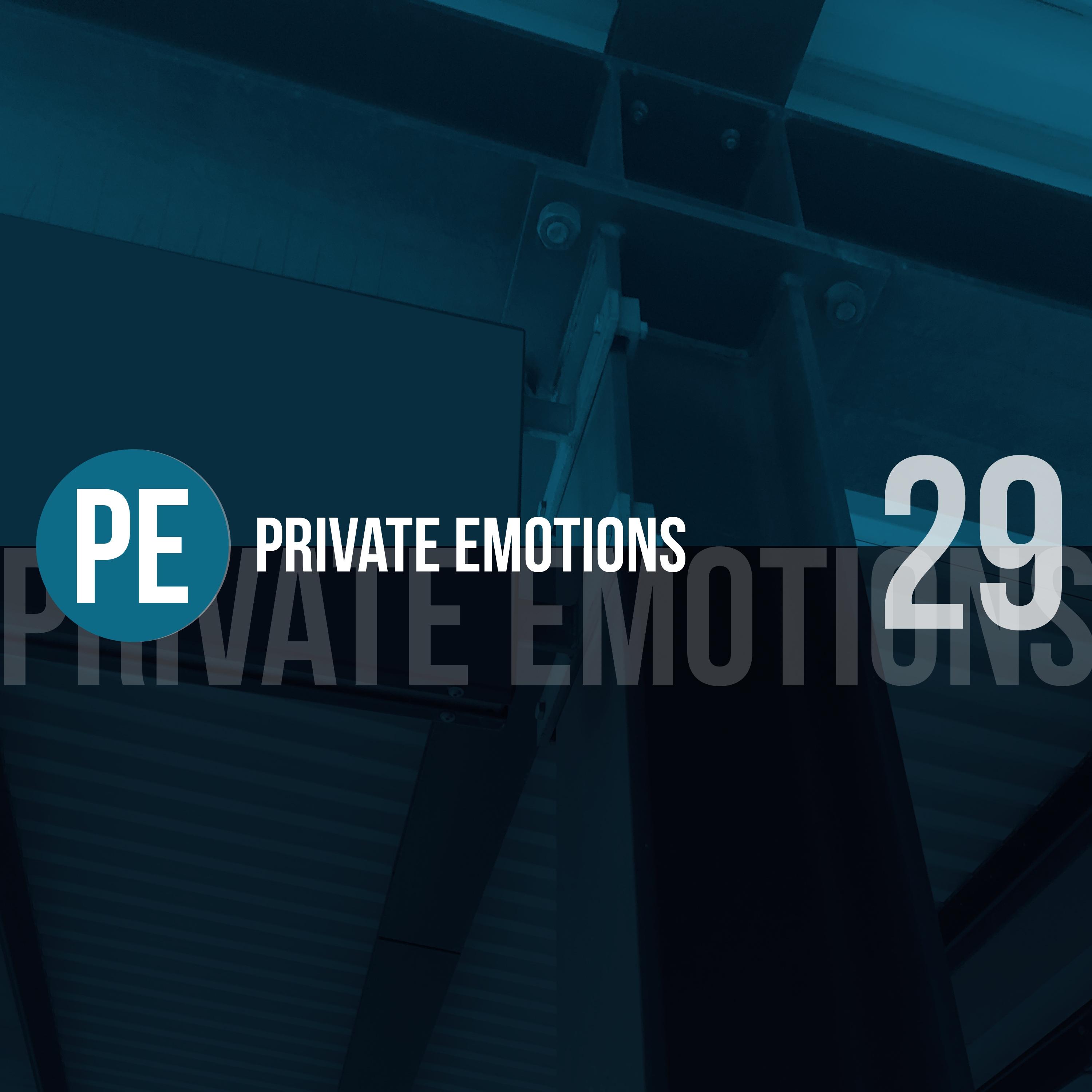 Private Emotions, Vol. 29