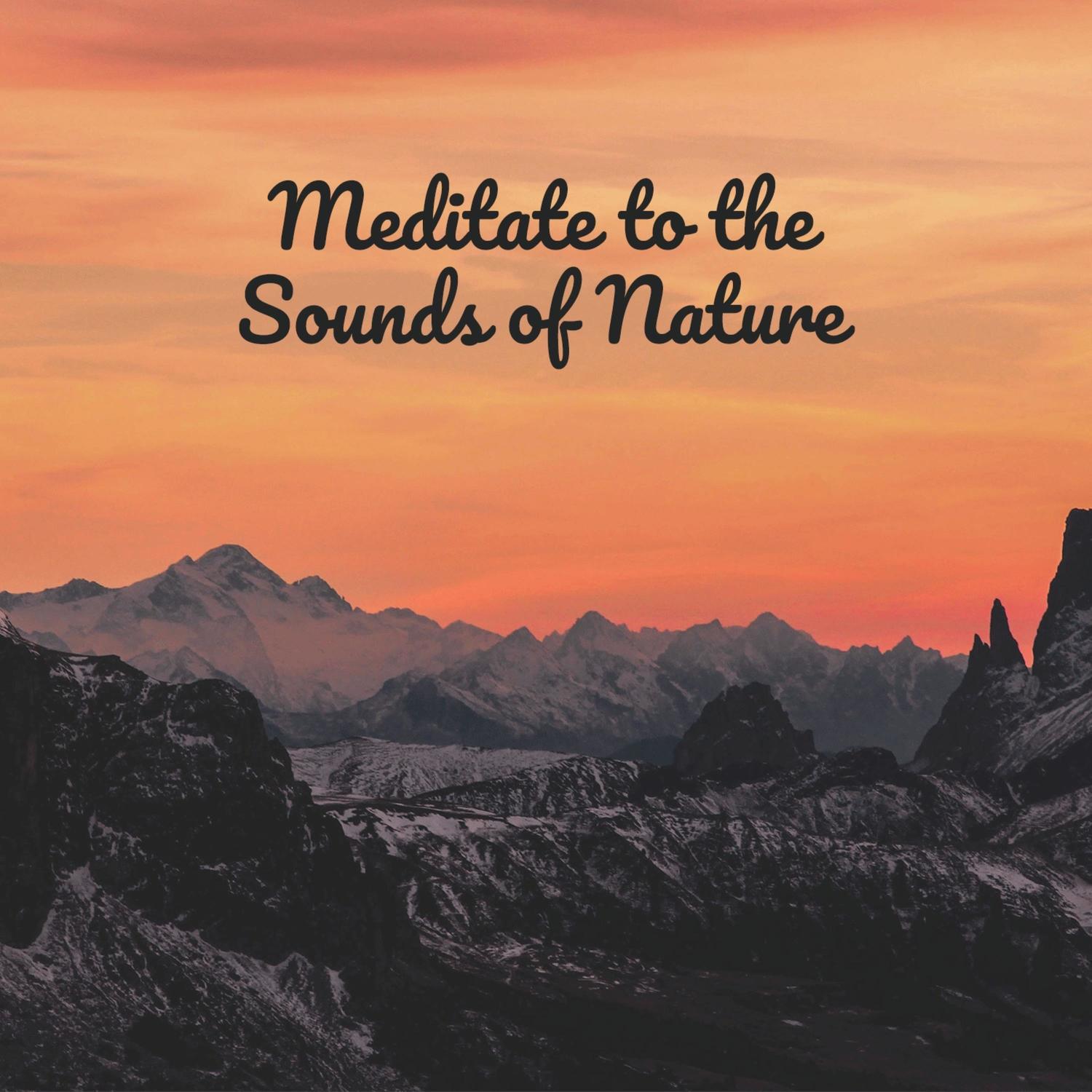 Meditate to the Sounds of Nature – Soothing Ambient Music to Relax and Calm Your Mind, Better Concentration on Meditation