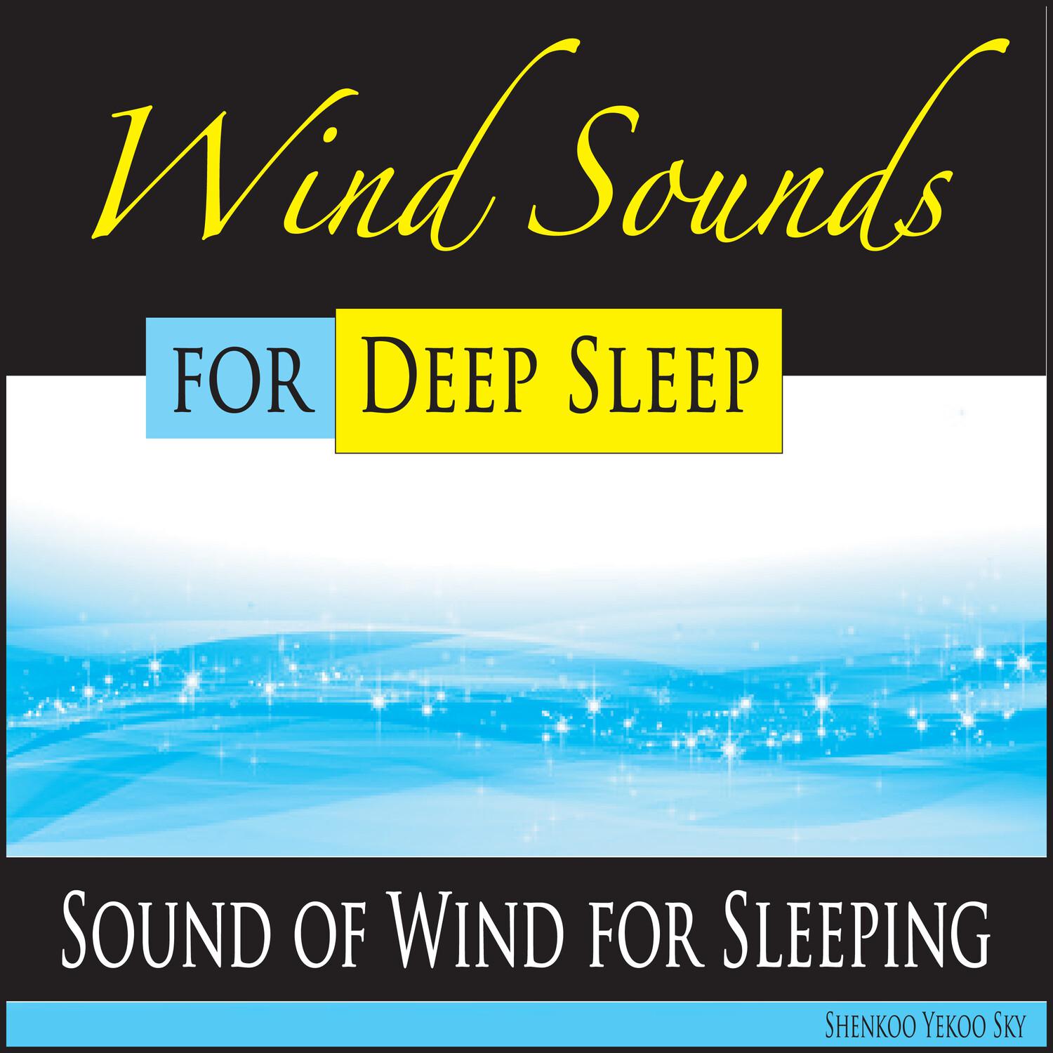 Wind Sounds for Deep Sleep: Sound of Wind for Sleeping