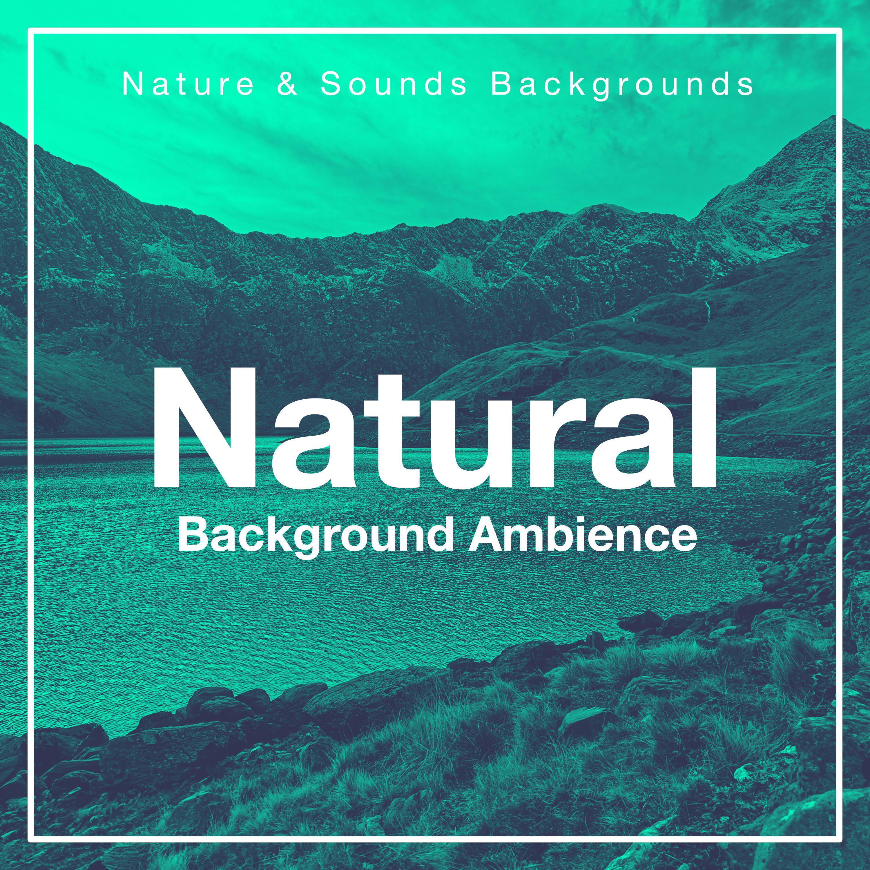 Natural Background Ambience