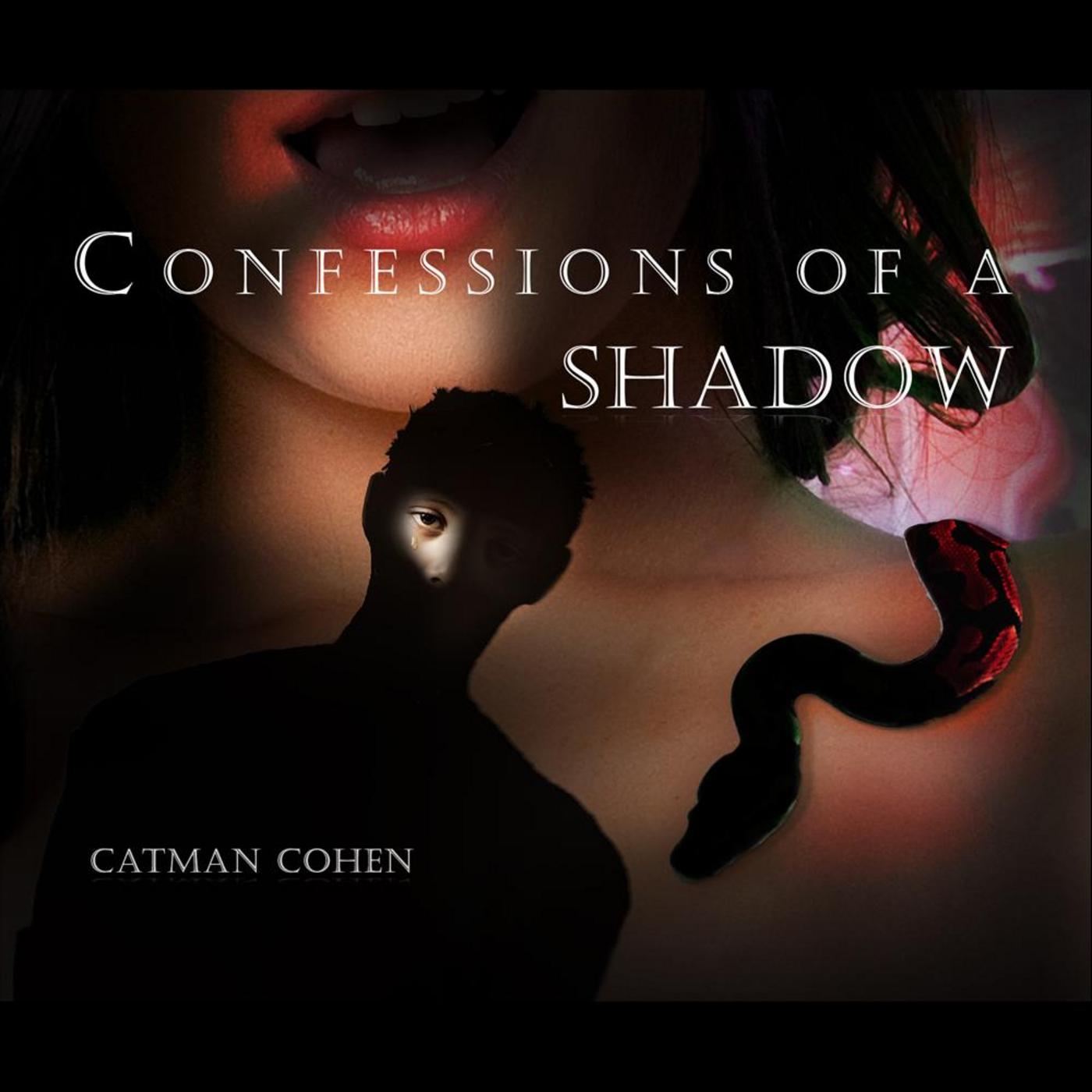 Confessions of a Shadow