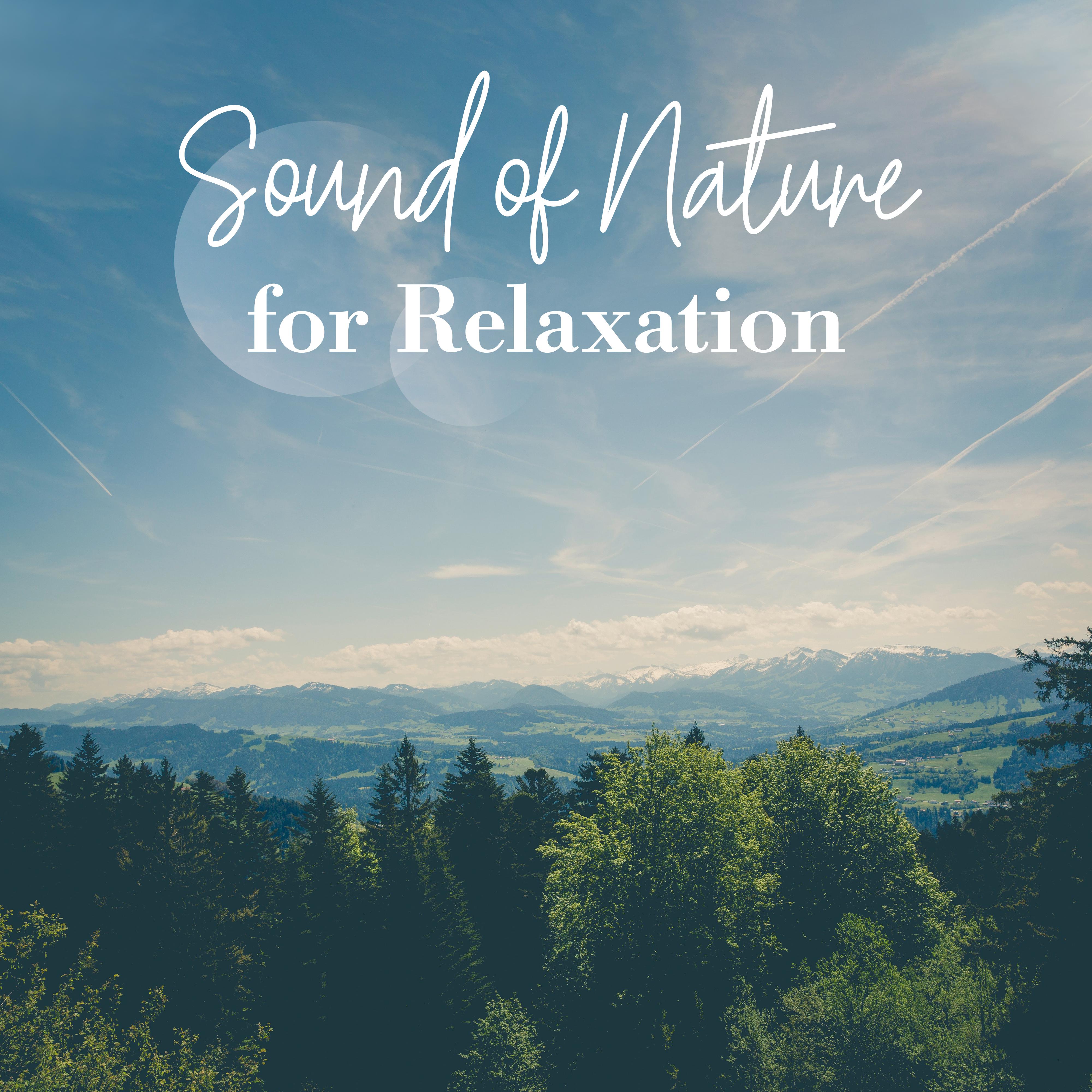 Sounds of Nature for Relaxation: Relief Music, Relaxing Vibes, New Age Music to Calm Down, Zen, Lounge