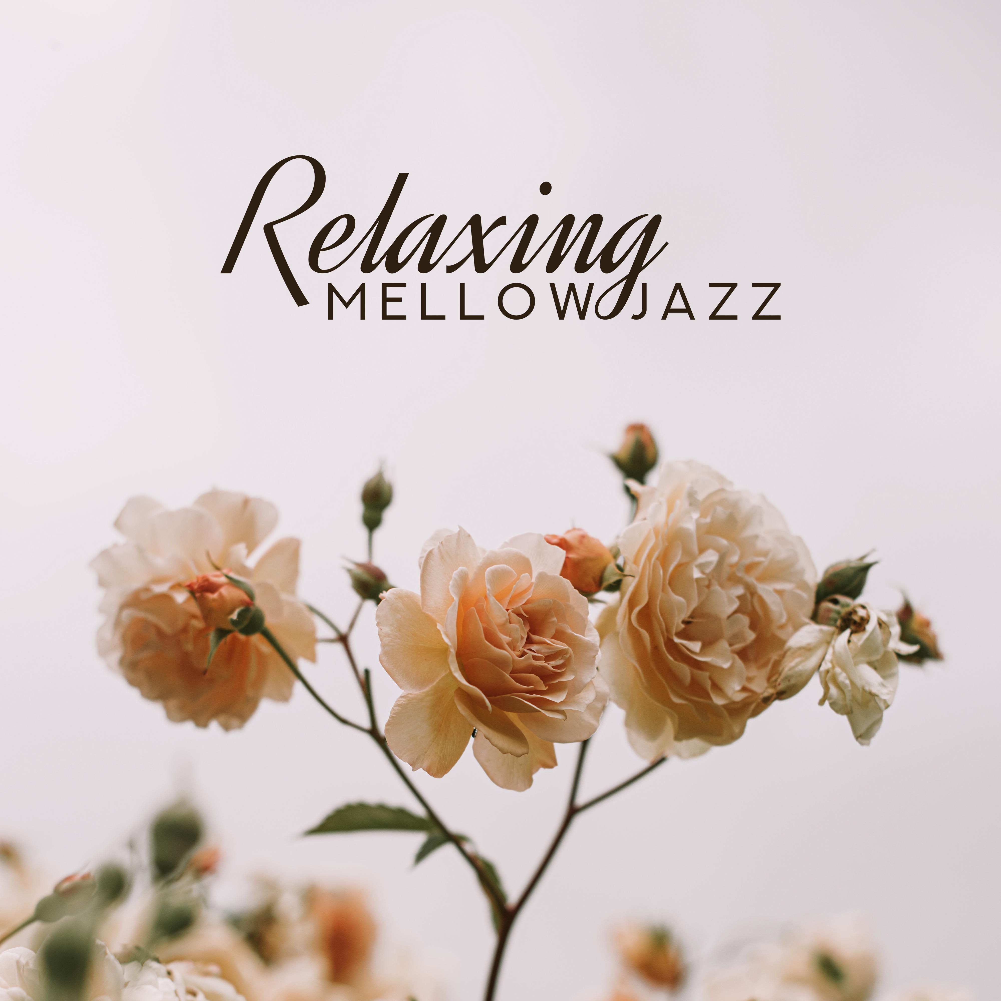 Relaxing Mellow Jazz: Instrumental Jazz for Restaurant, Jazz Coffee, Soothing Jazz & Relax, Classical Jazz for Relaxation