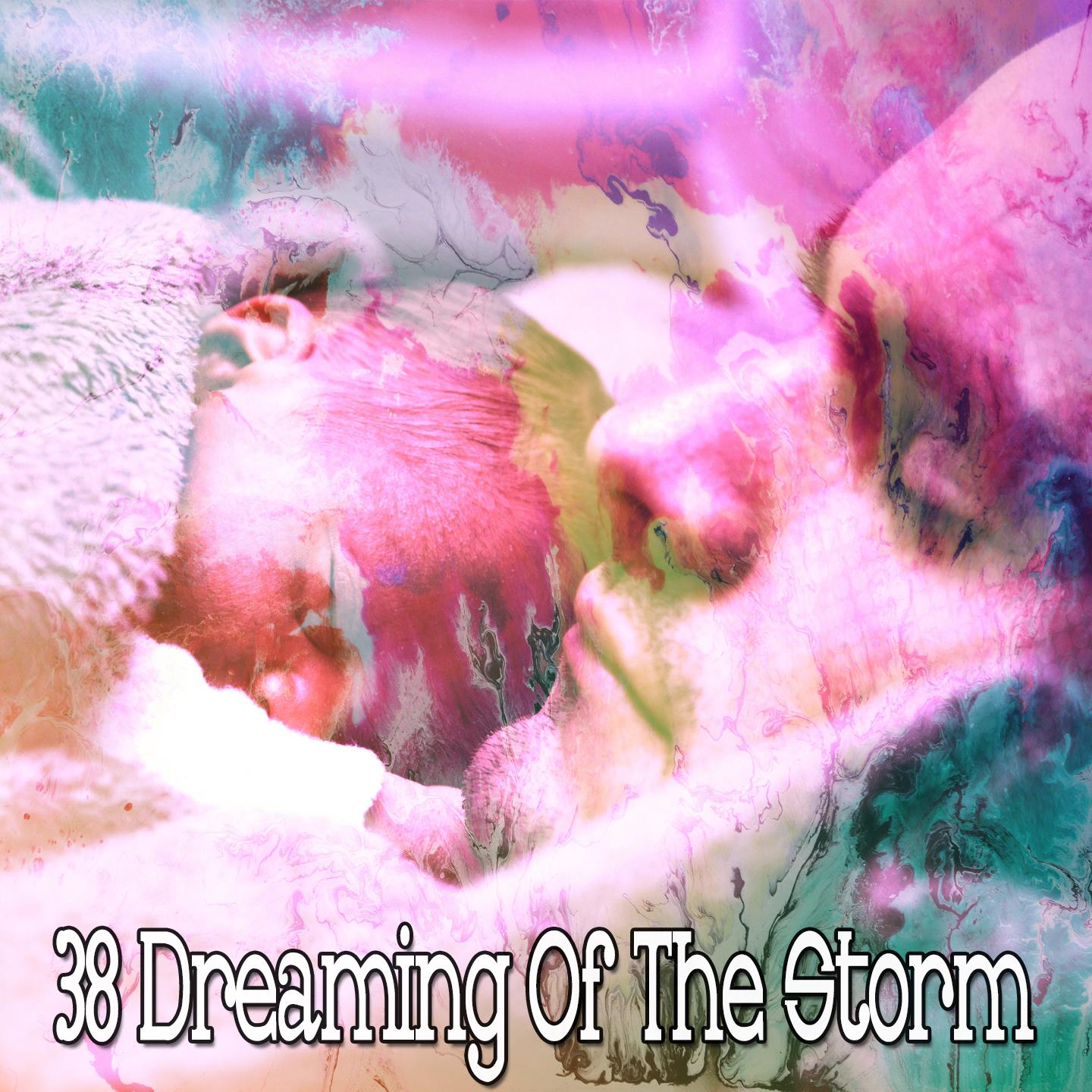 38 Dreaming of the Storm
