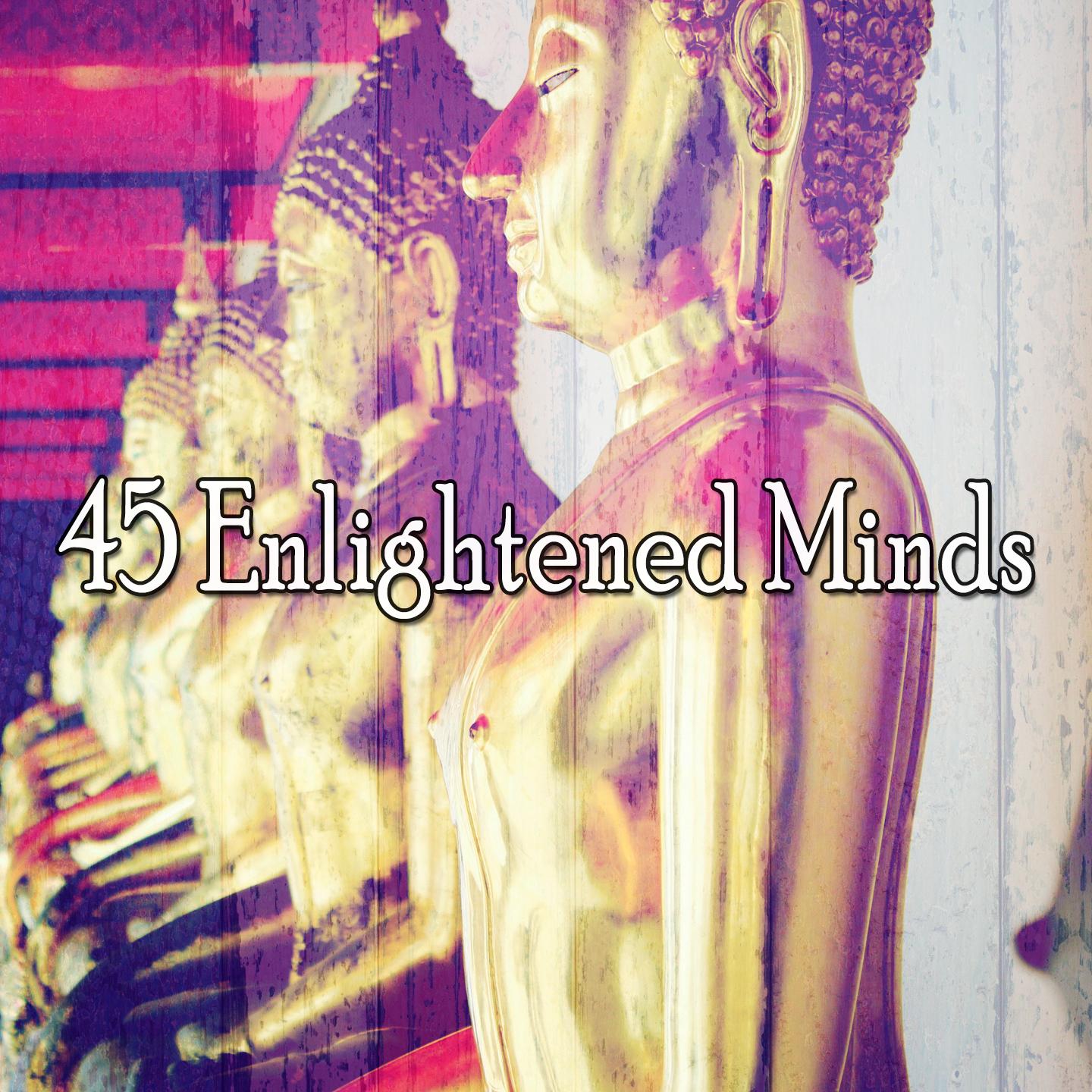 45 Enlightened Minds